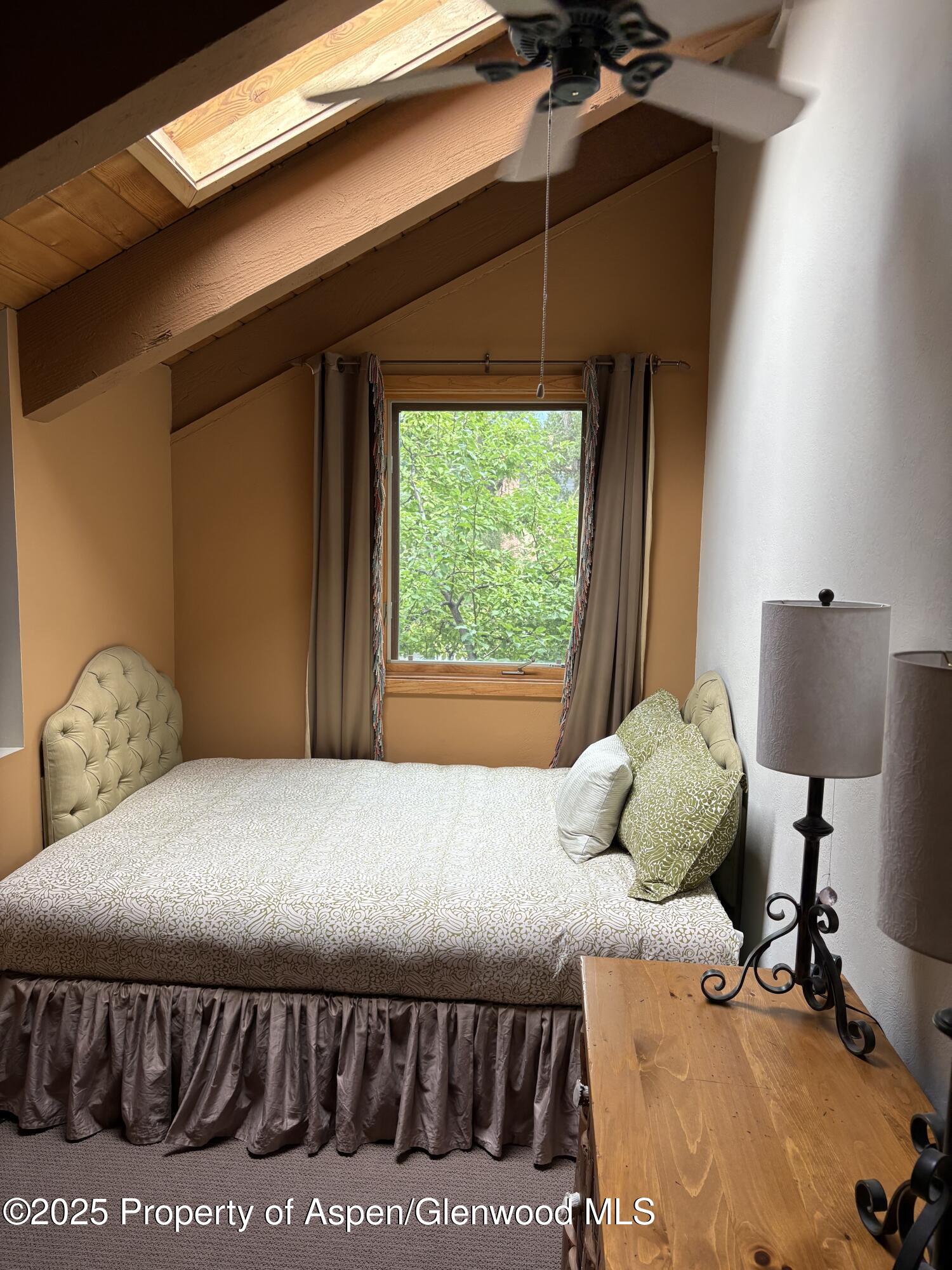 125 E Hyman Avenue Aspen CO 81611