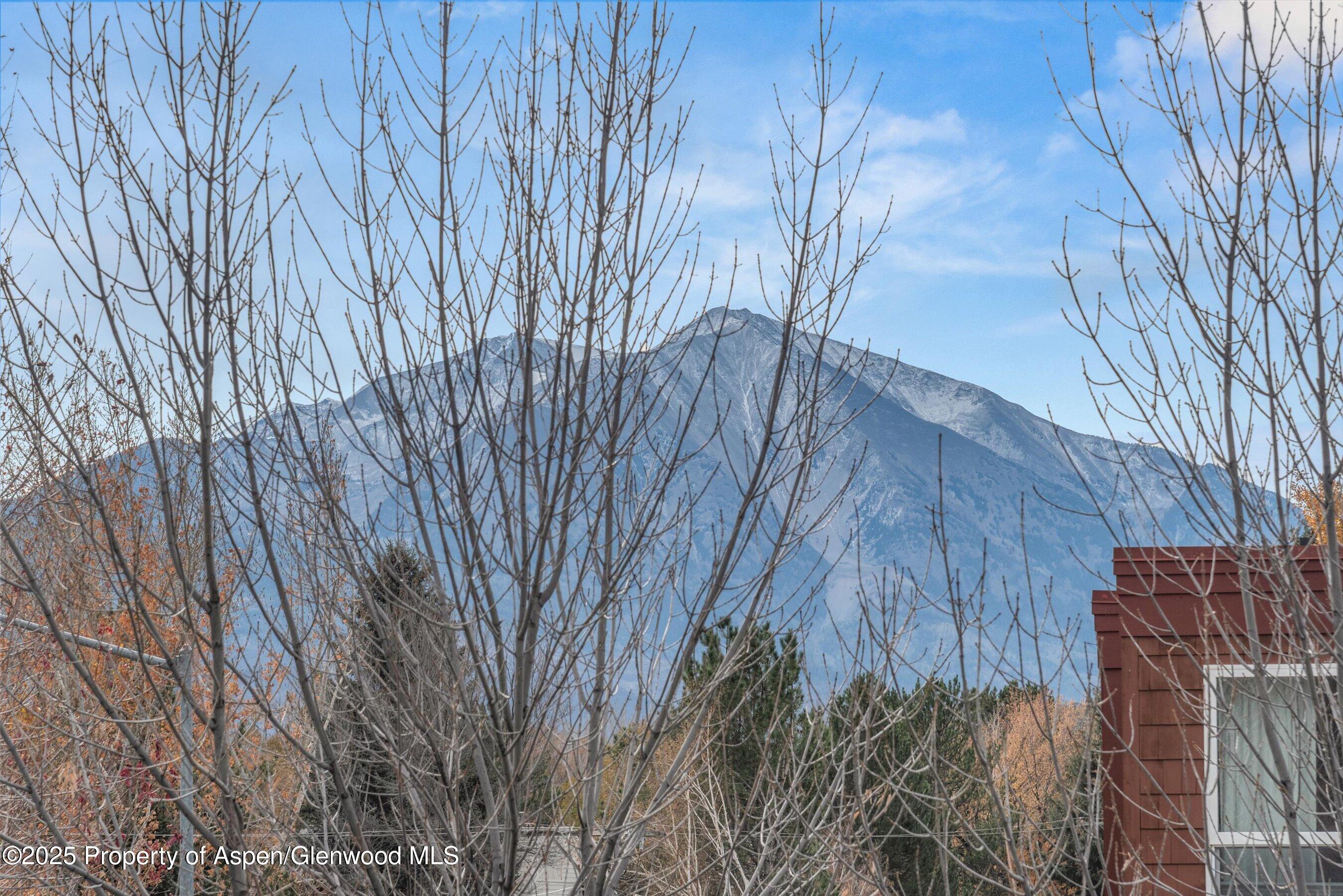 45 Village Lane Carbondale CO 81623