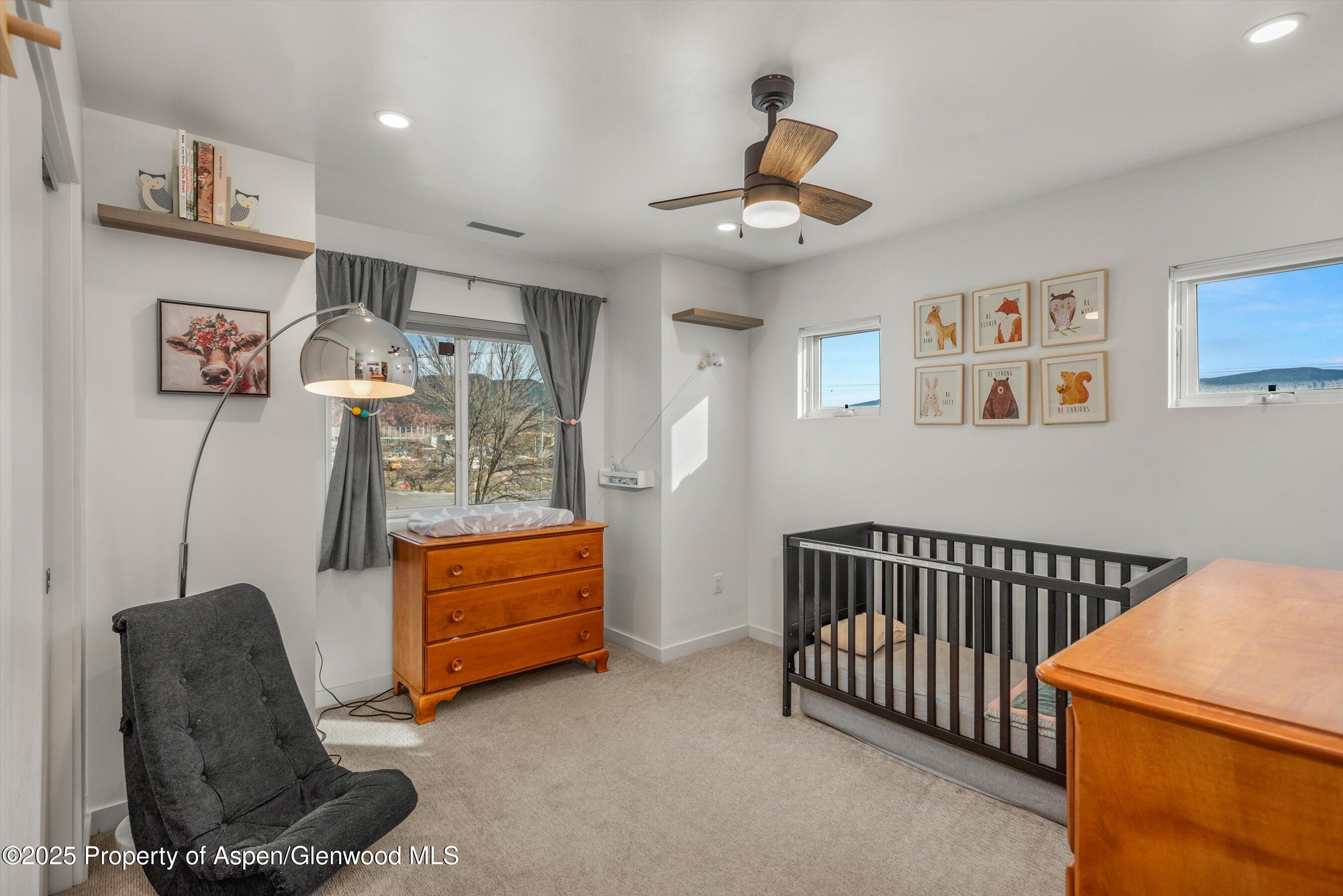 45 Village Lane Carbondale CO 81623