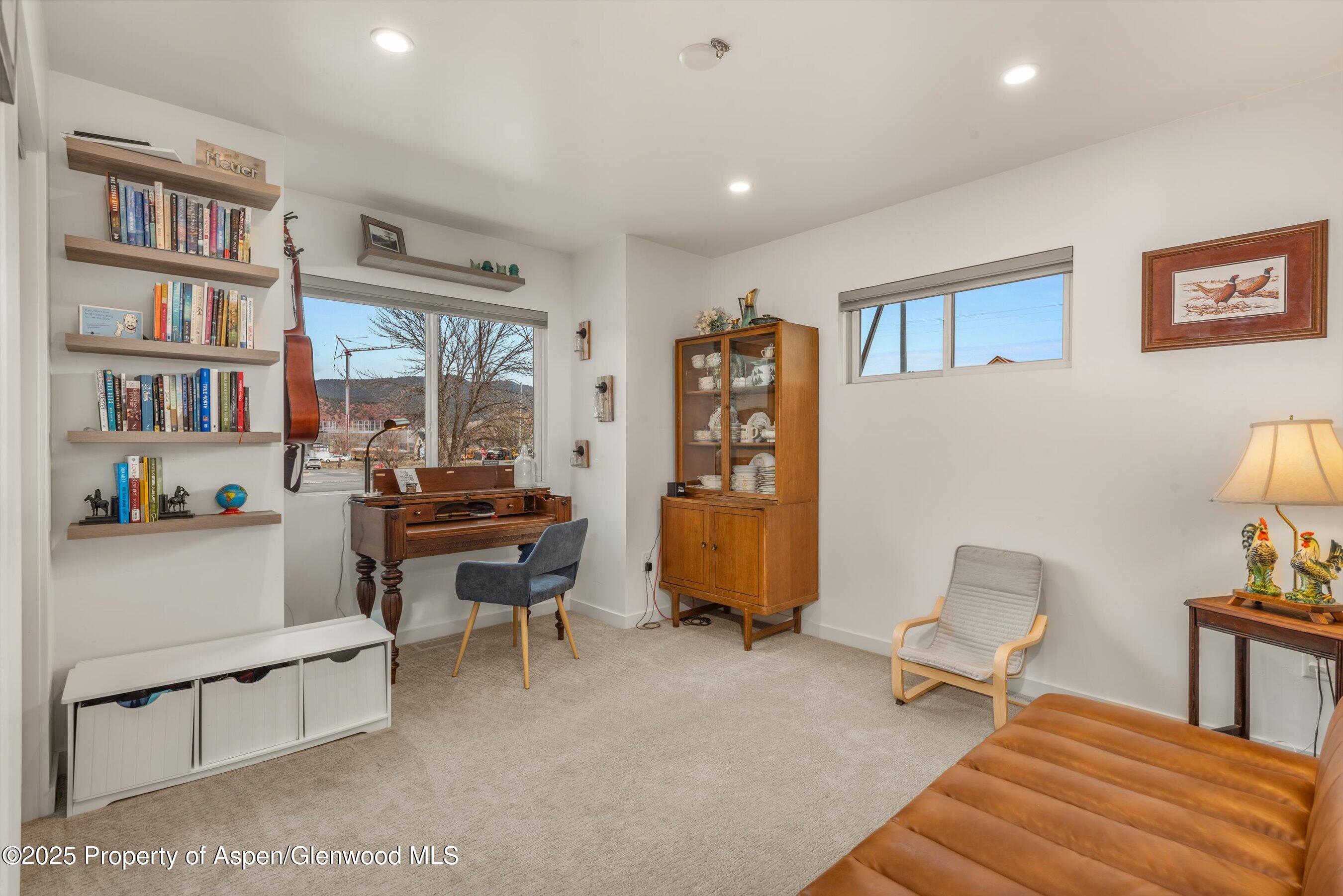 45 Village Lane Carbondale CO 81623