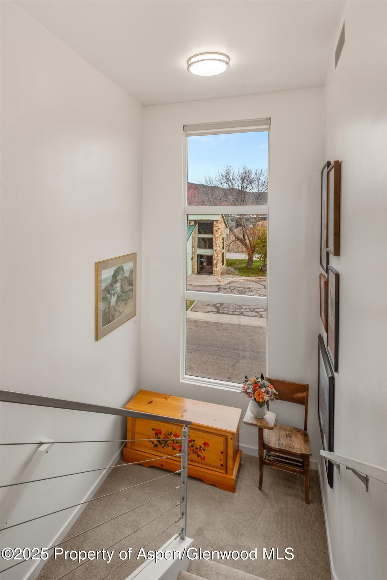 45 Village Lane Carbondale CO 81623