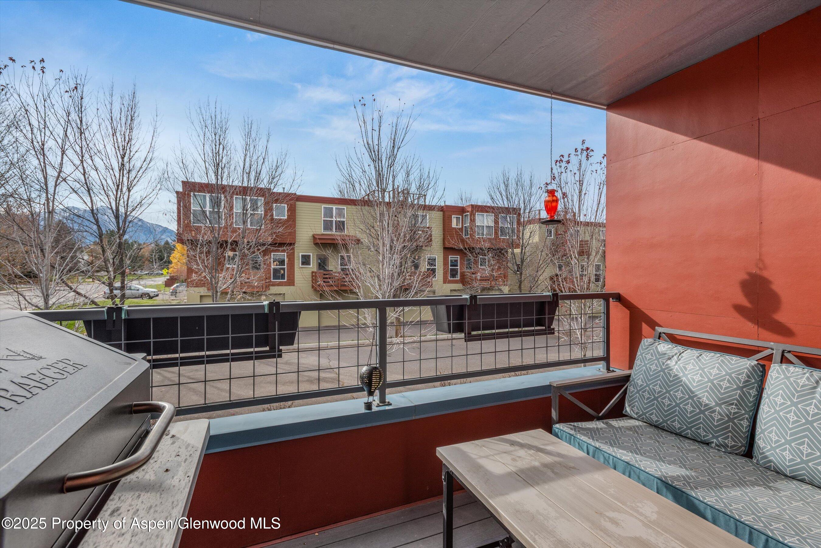 45 Village Lane Carbondale CO 81623