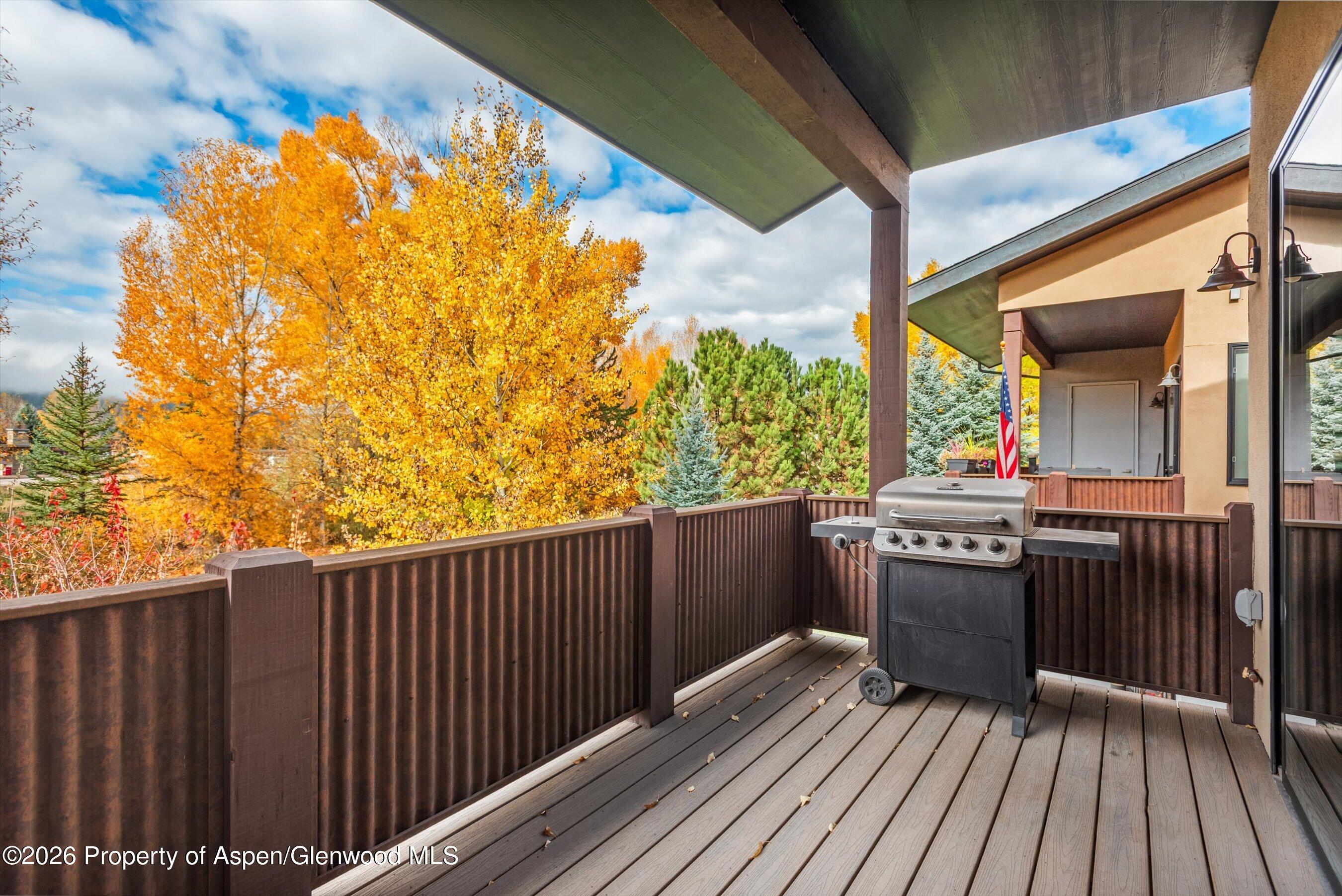 102 Juniper Trail Carbondale CO 81623