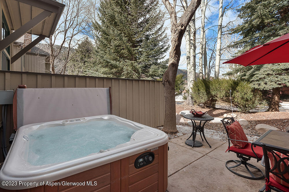 68 Golden Bear Drive Carbondale CO 81623