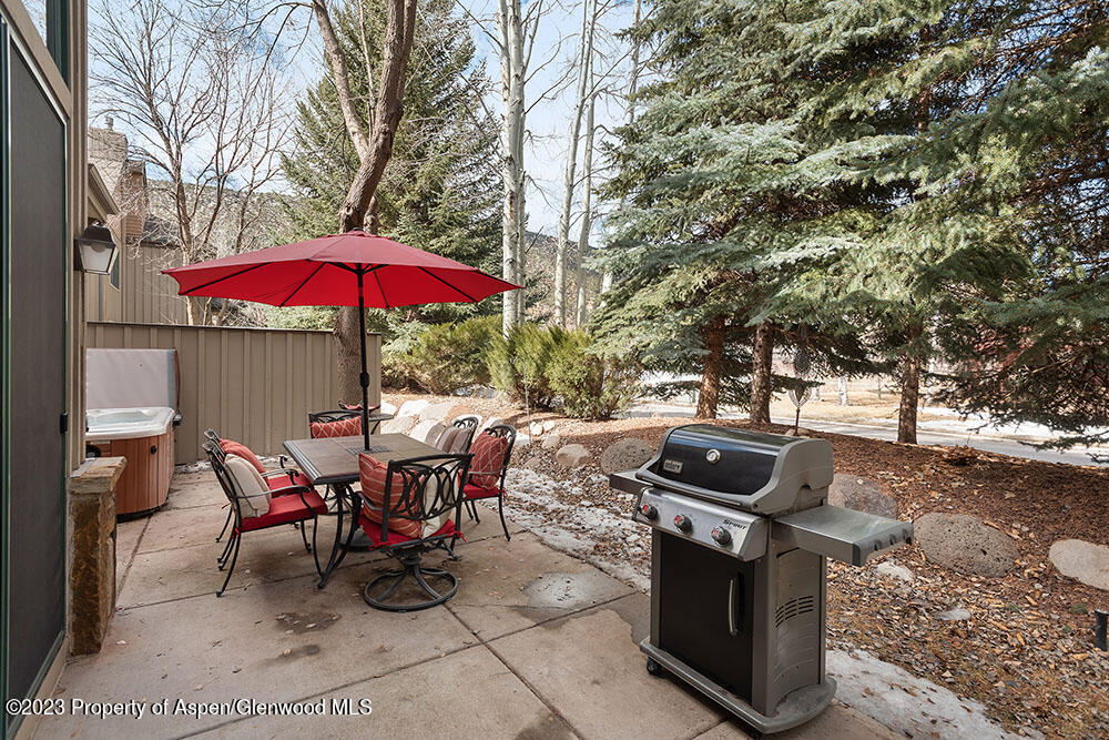 68 Golden Bear Drive Carbondale CO 81623