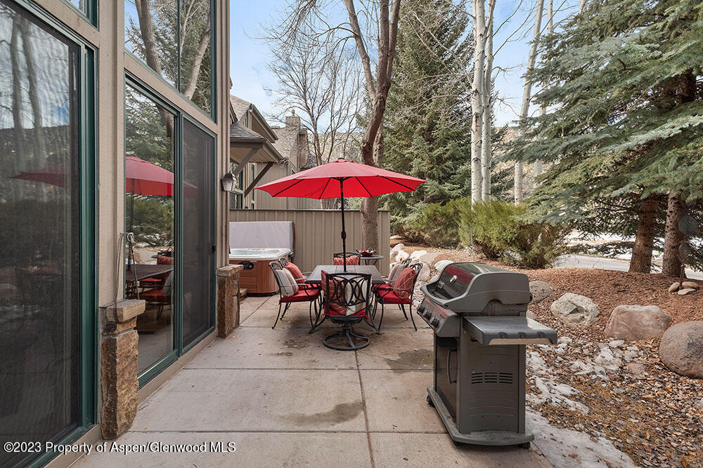 68 Golden Bear Drive Carbondale CO 81623