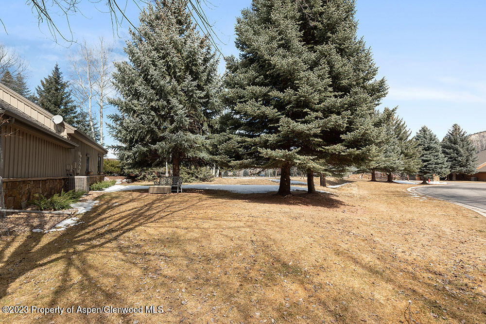 68 Golden Bear Drive Carbondale CO 81623