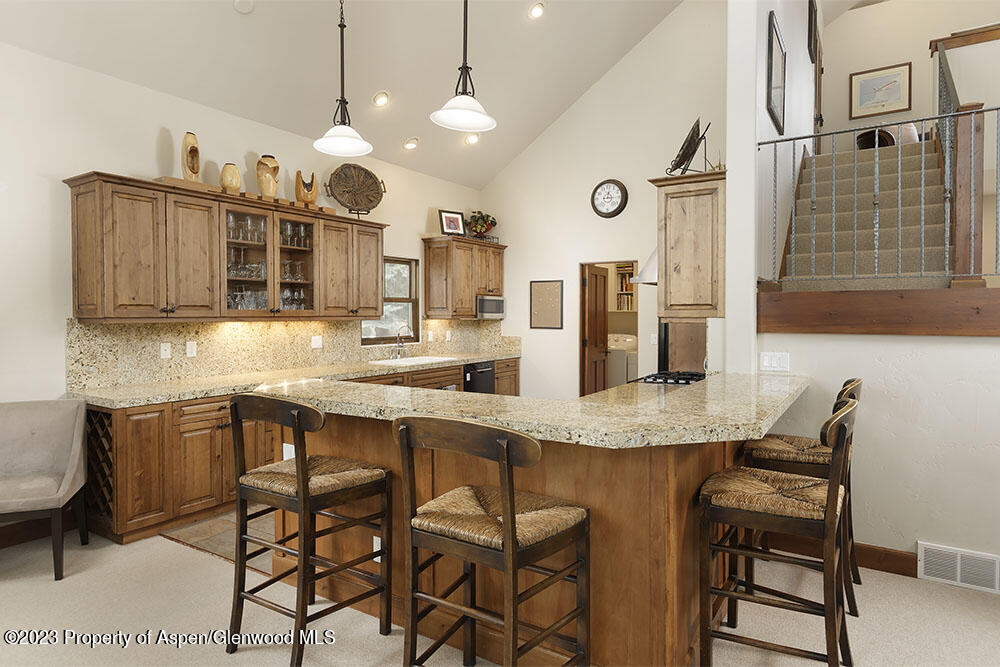 68 Golden Bear Drive Carbondale CO 81623