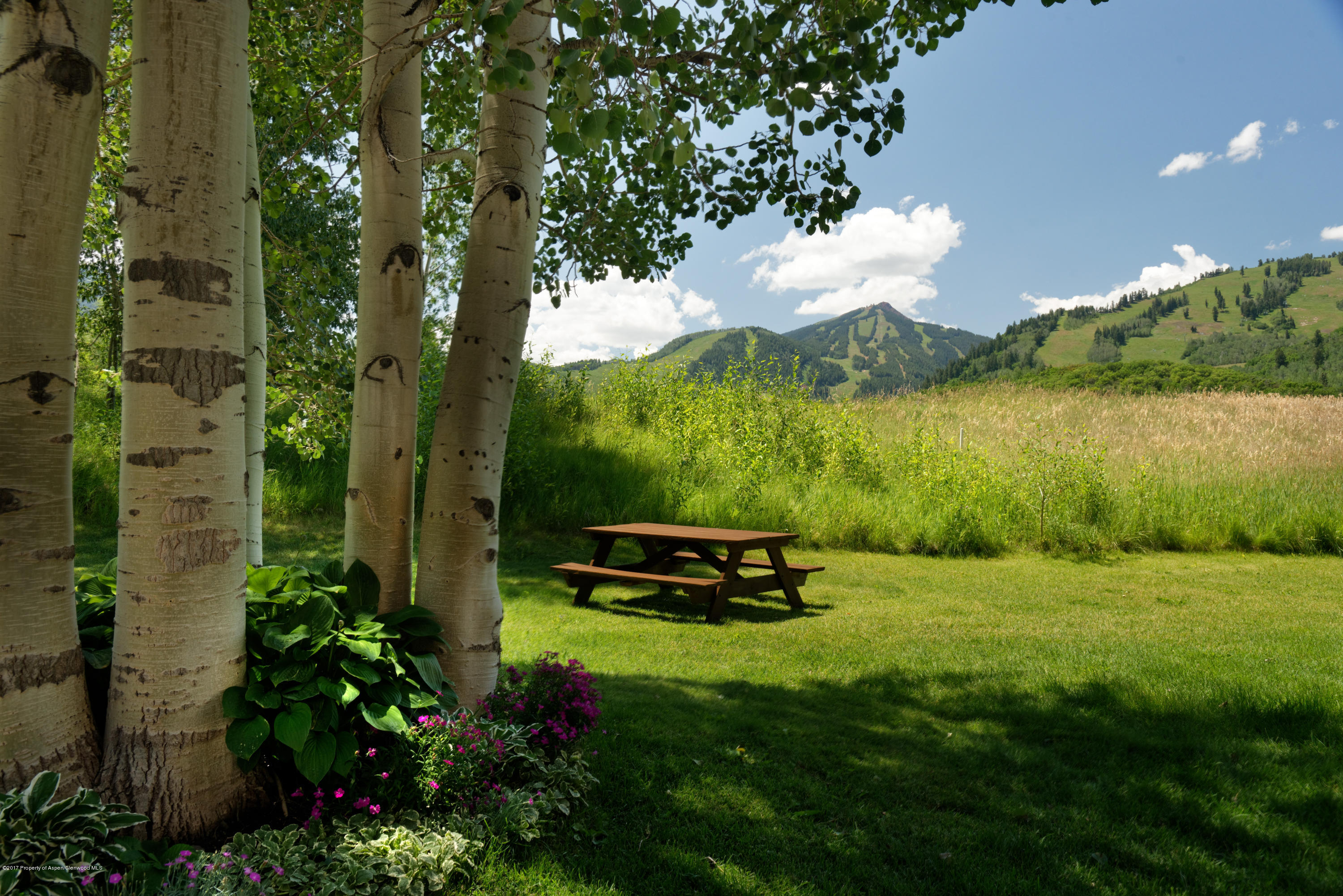 39060 Co-82 Aspen CO 81611