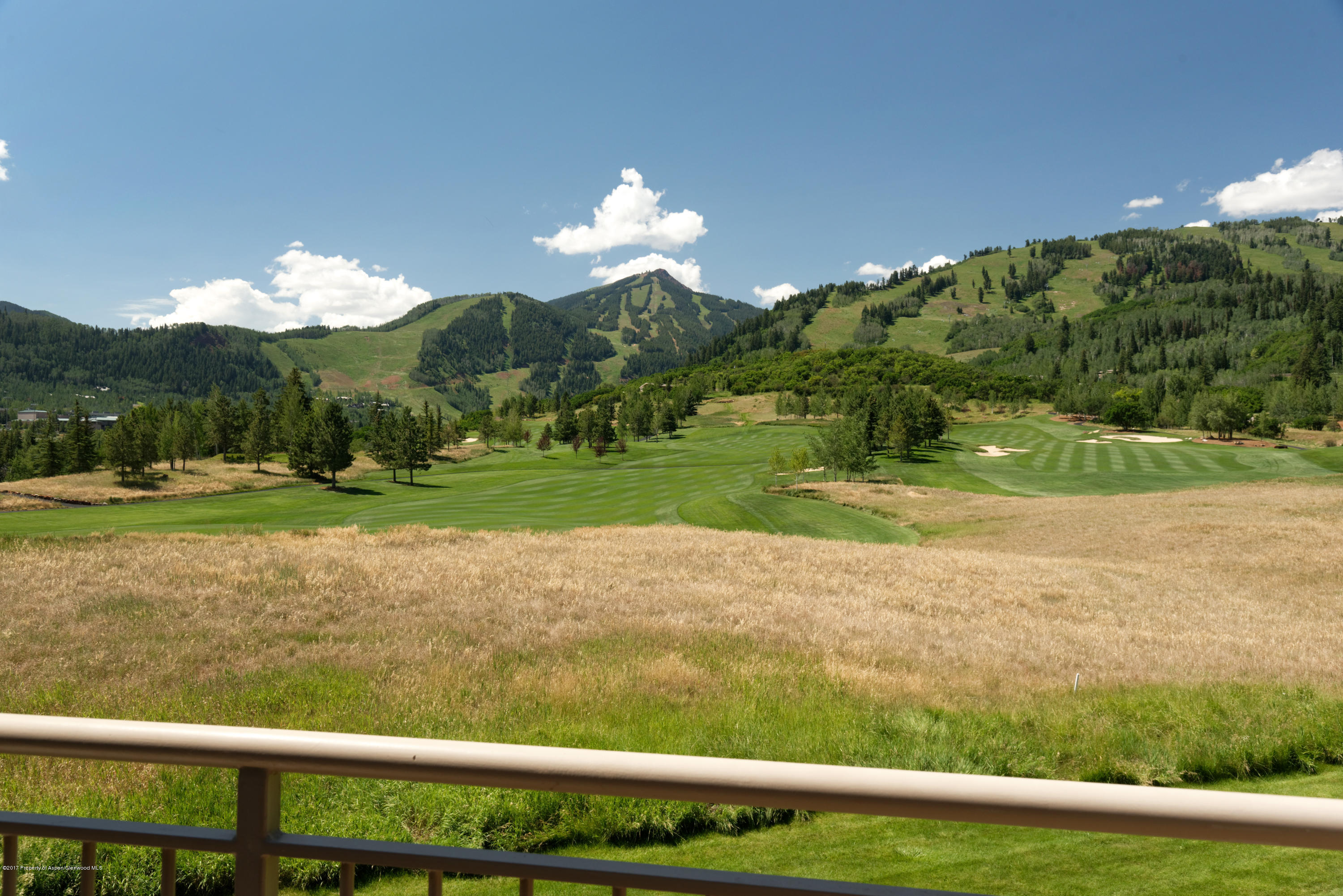 39060 Co-82 Aspen CO 81611