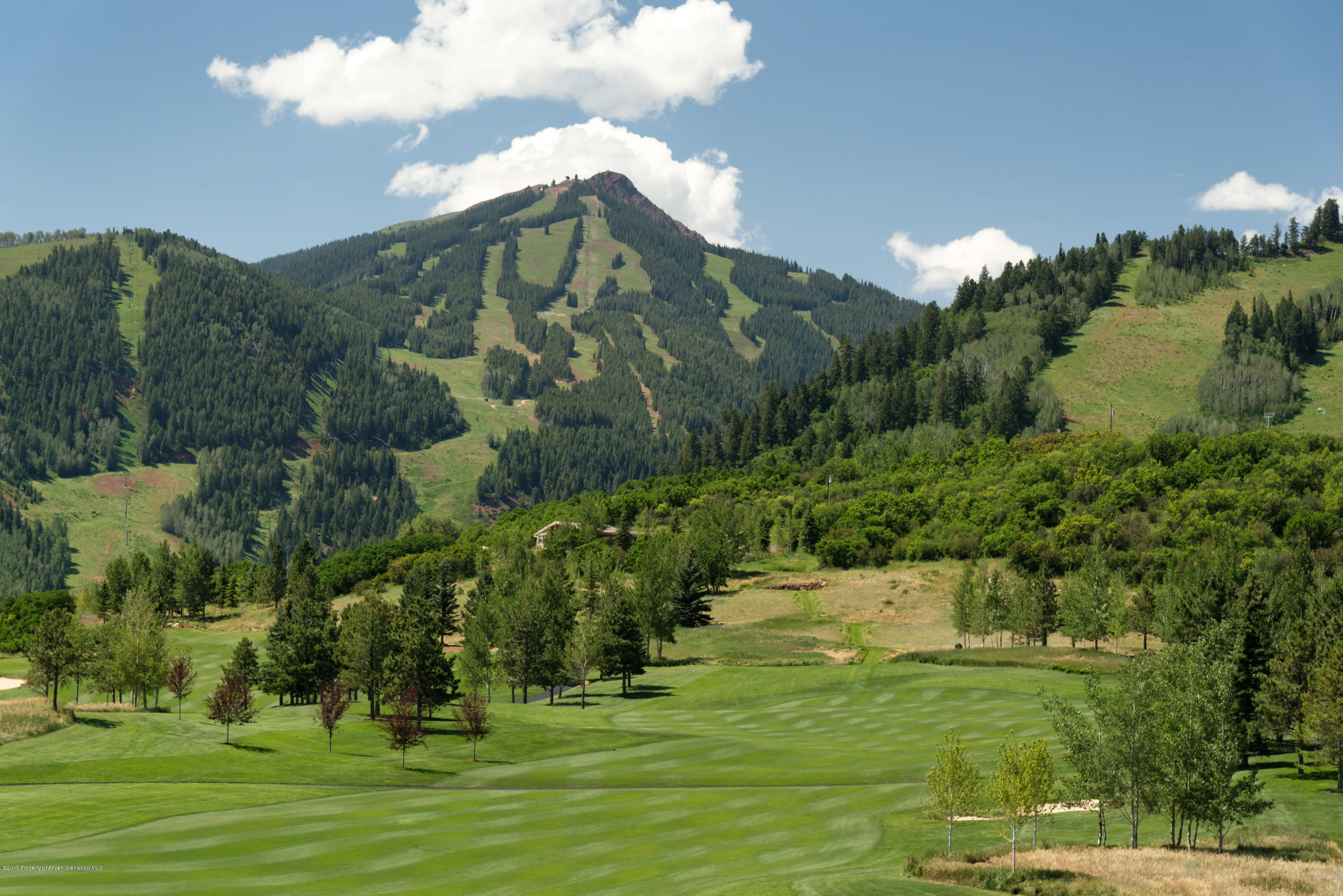 39060 Co-82 Aspen CO 81611