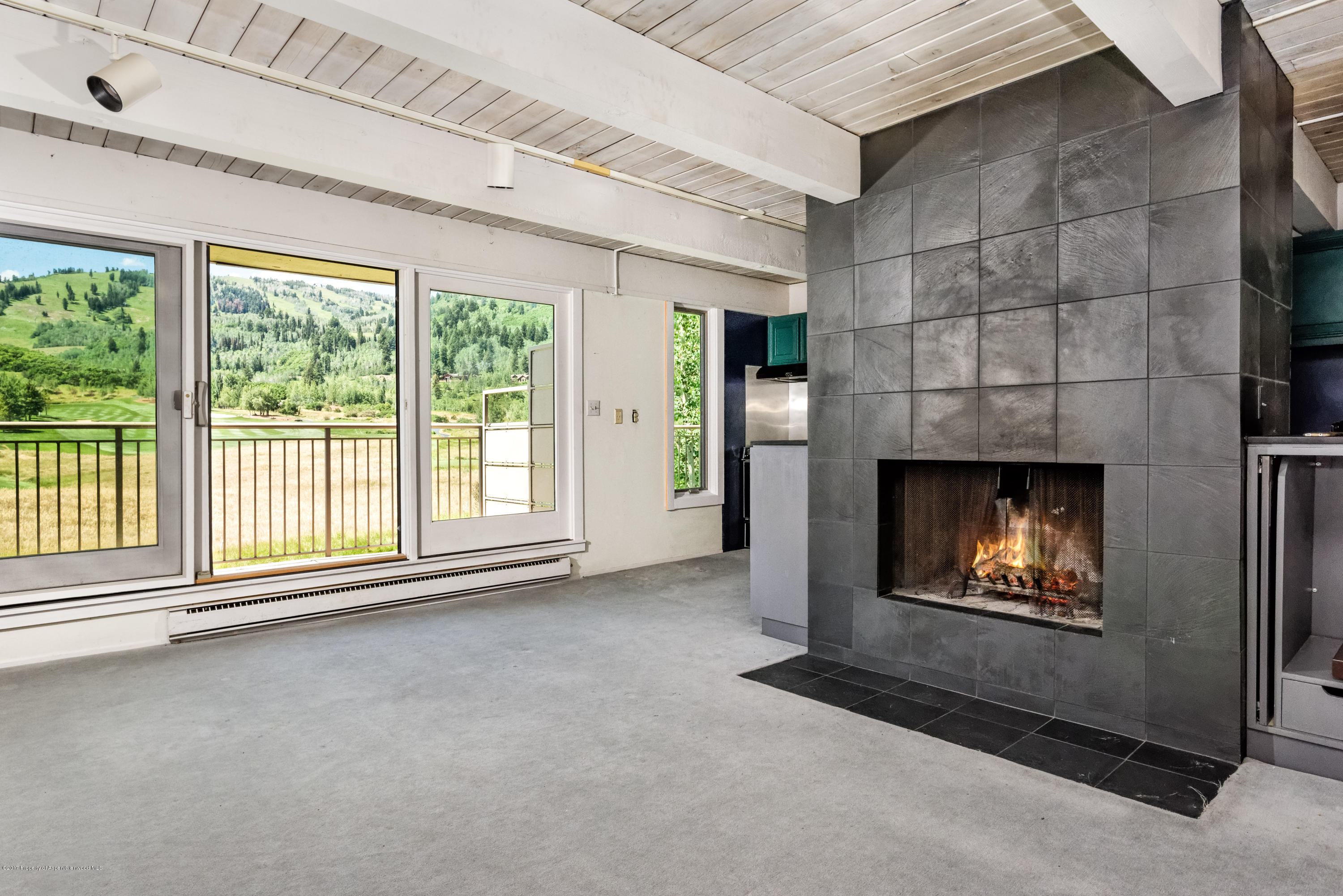 39060 Co-82 Aspen CO 81611