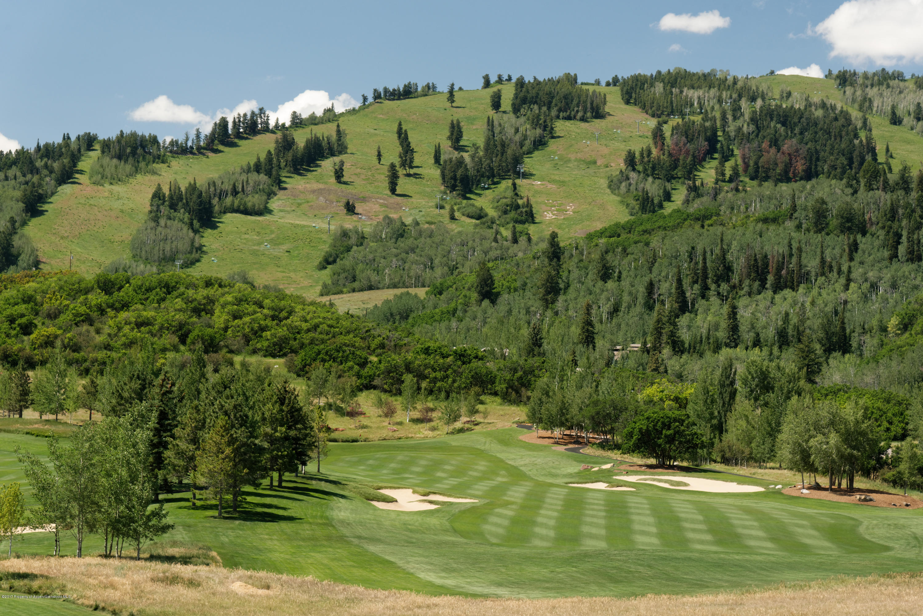 39060 Co-82 Aspen CO 81611
