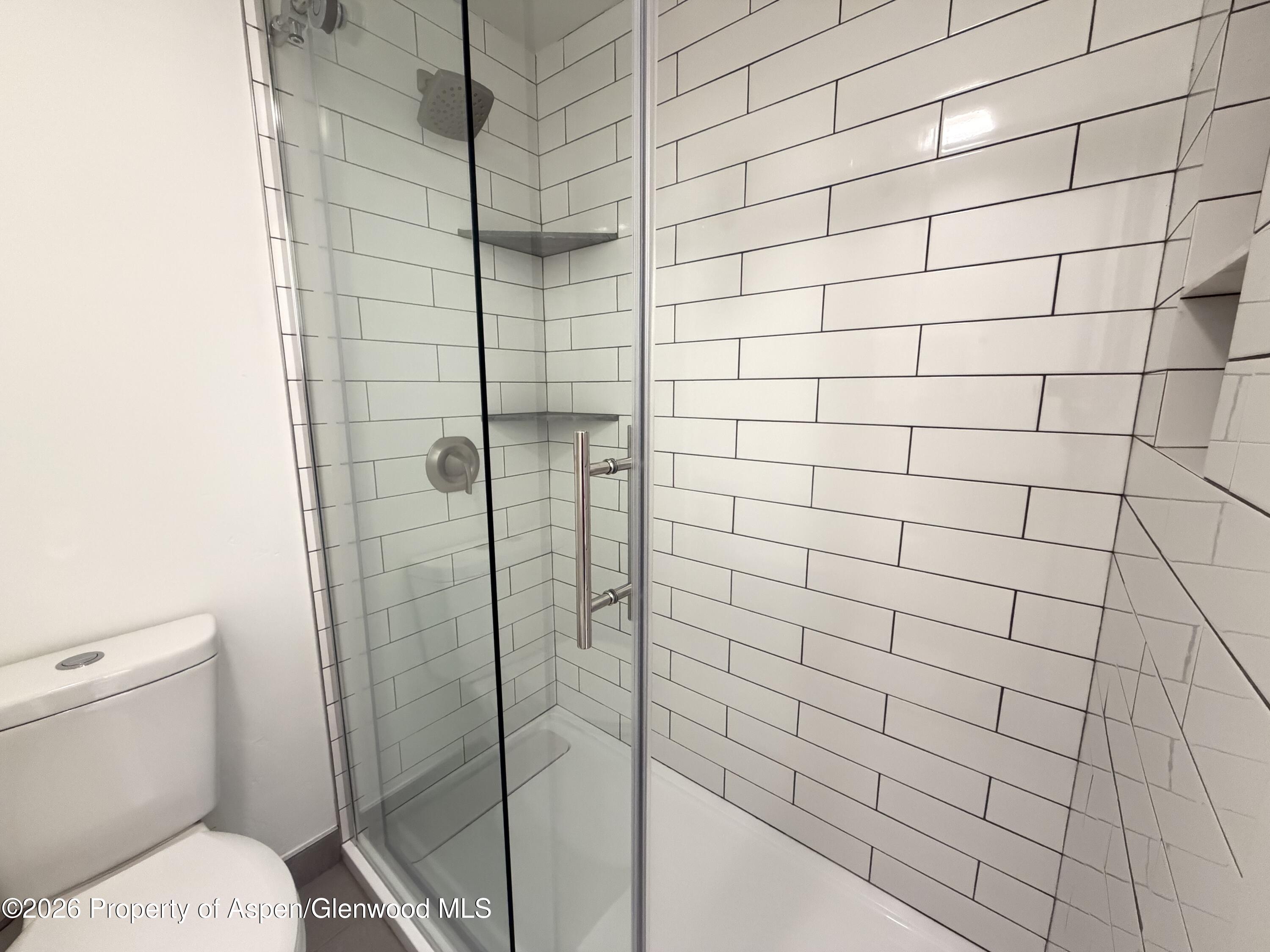 65 Campground Lane Snowmass Village CO 81615