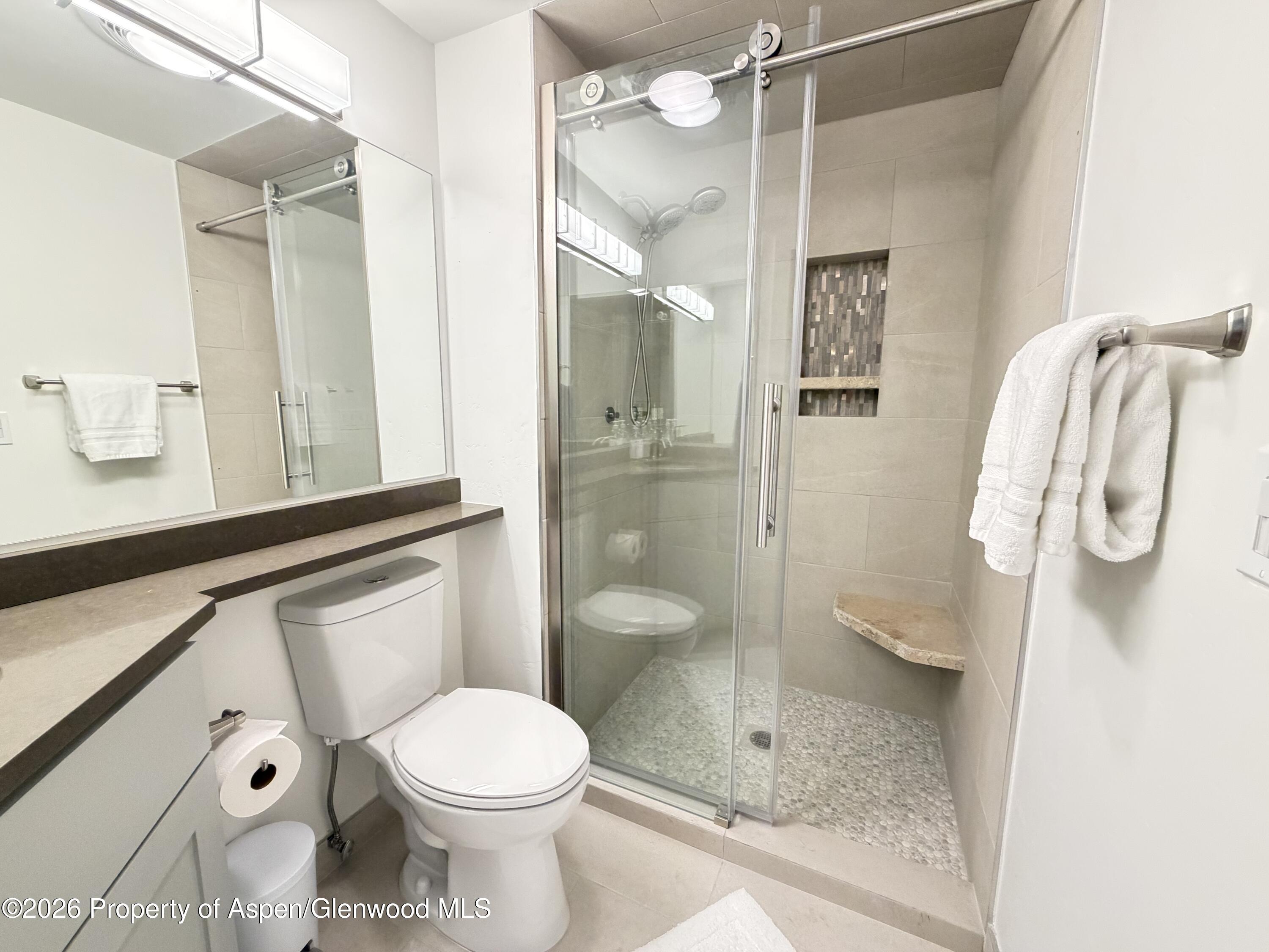 65 Campground Lane Snowmass Village CO 81615