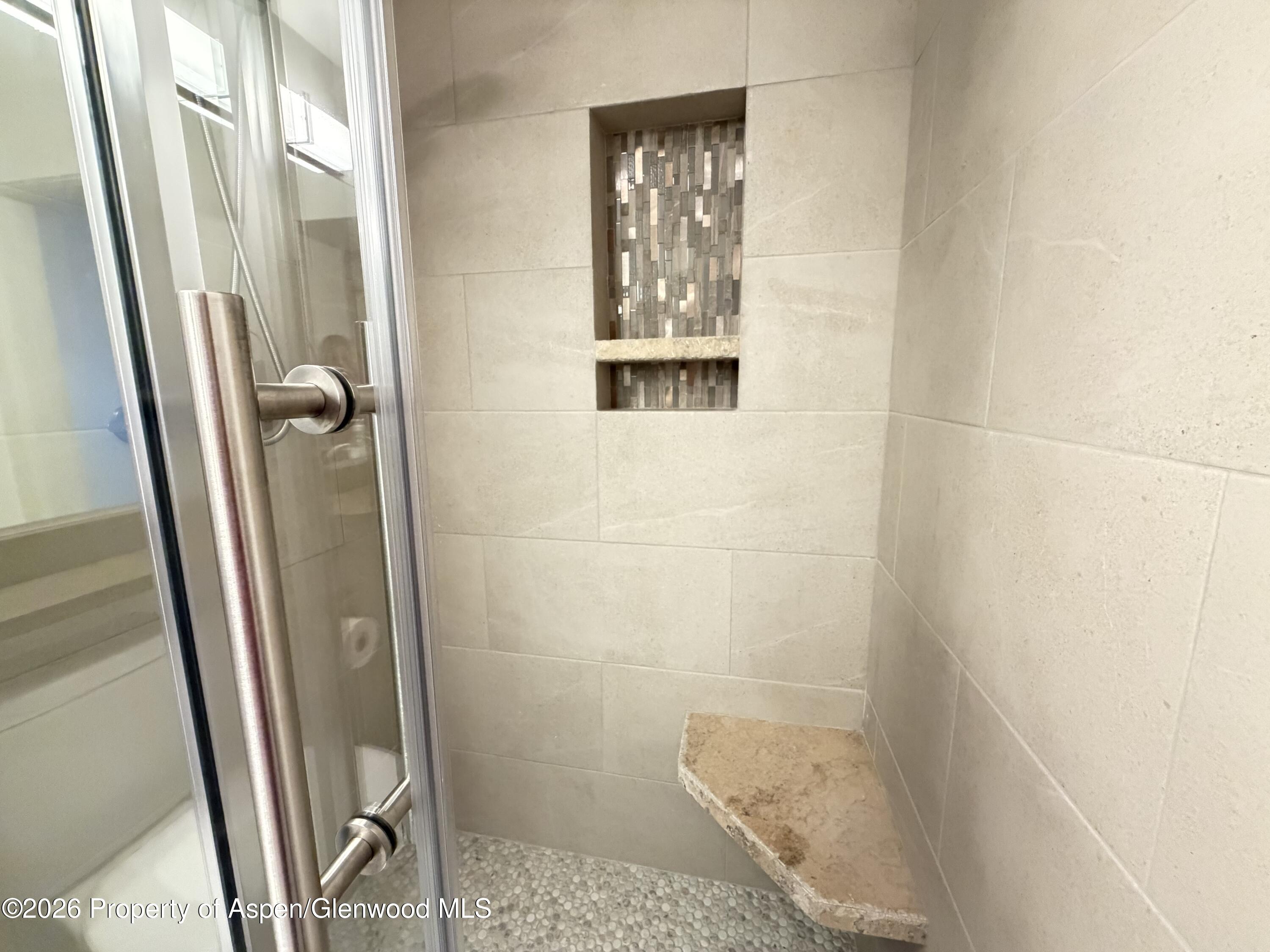 65 Campground Lane Snowmass Village CO 81615