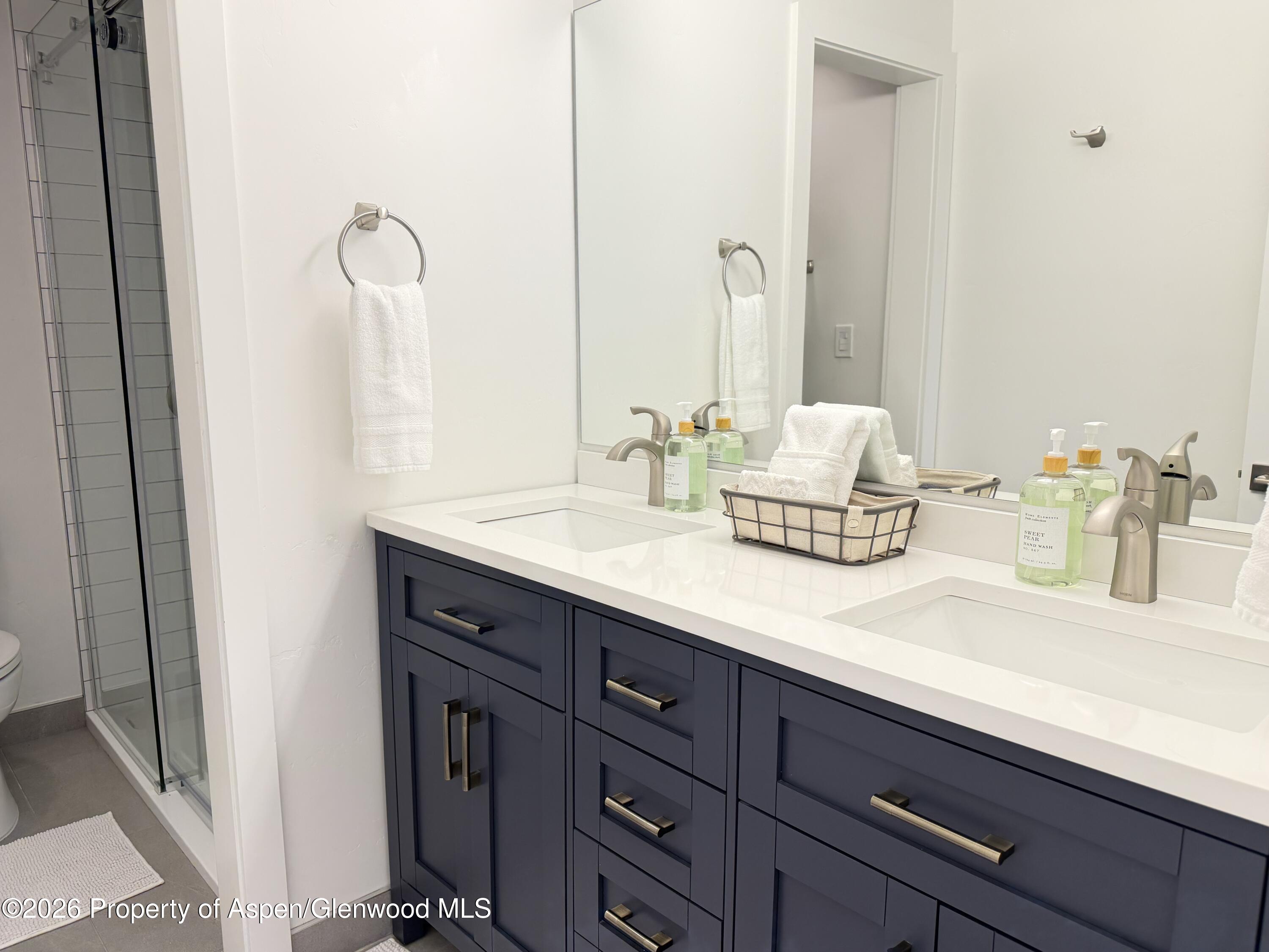 65 Campground Lane Snowmass Village CO 81615