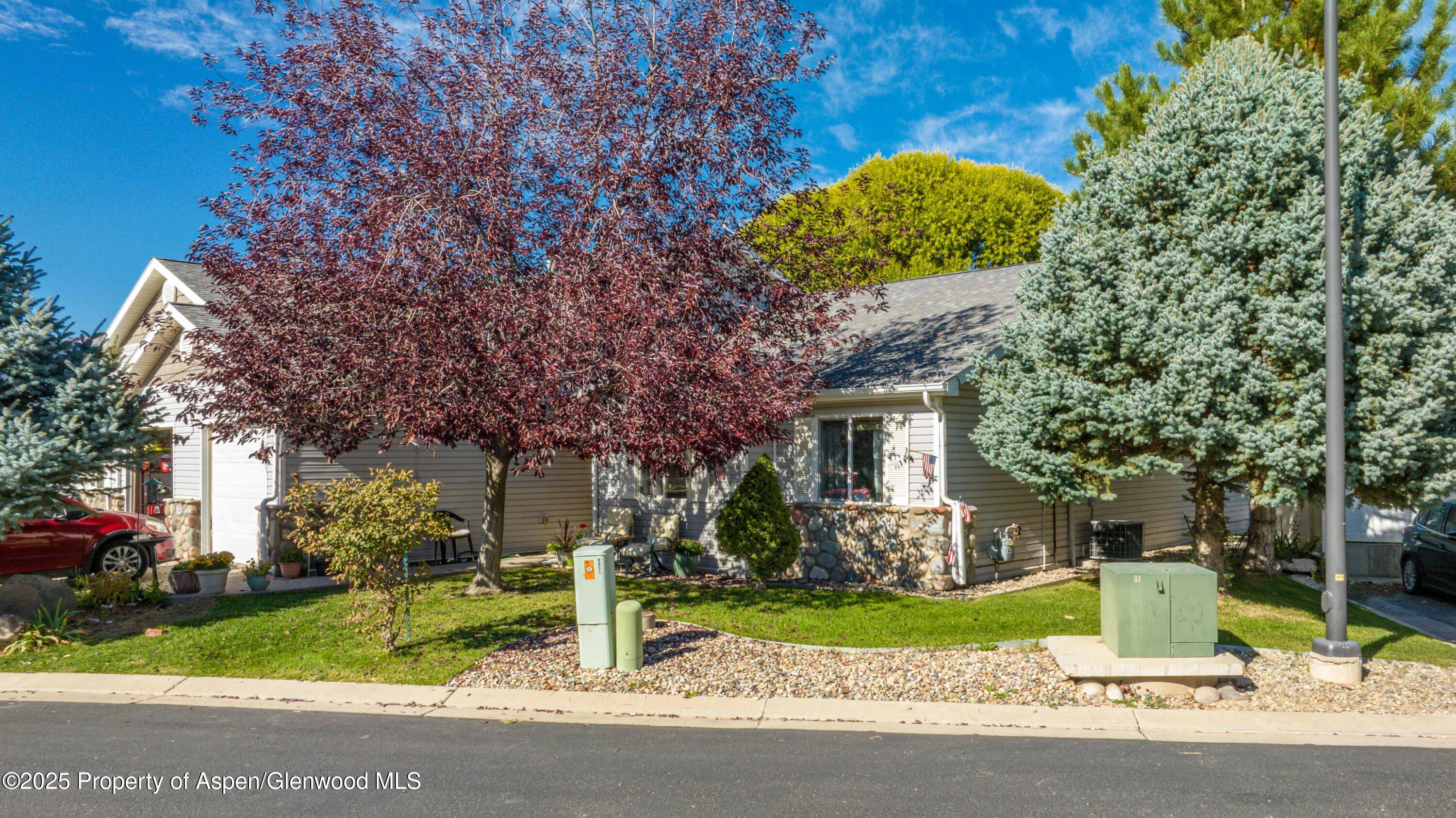 19 Angelica Circle Parachute CO 81635