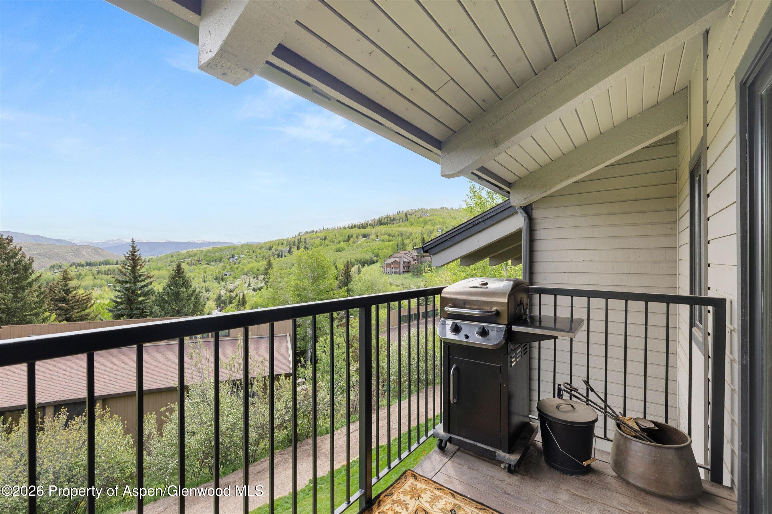 55 Upper Woodbridge Road Snowmass Village CO 81615