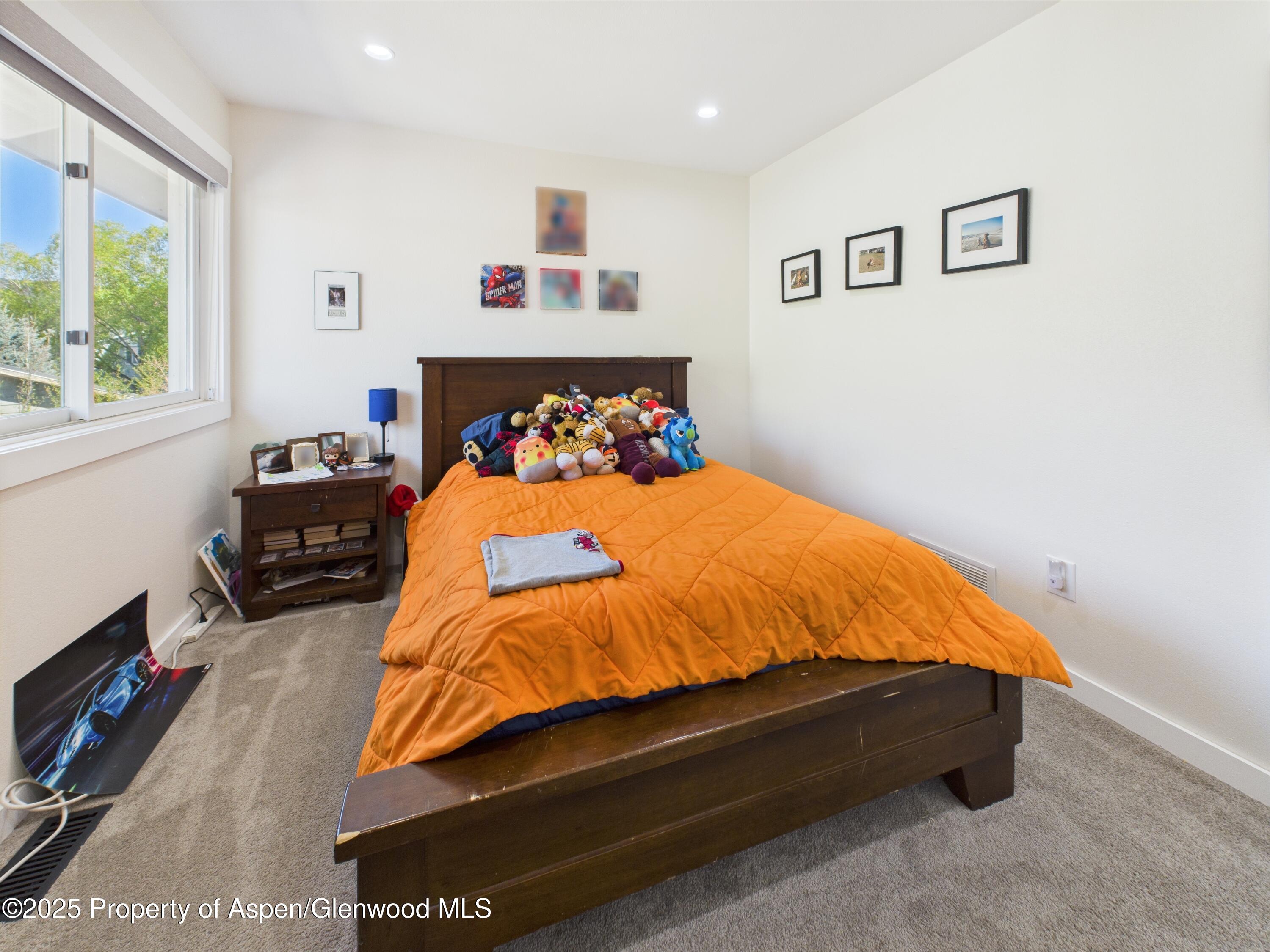 944 Wheel Circle Carbondale CO 81623