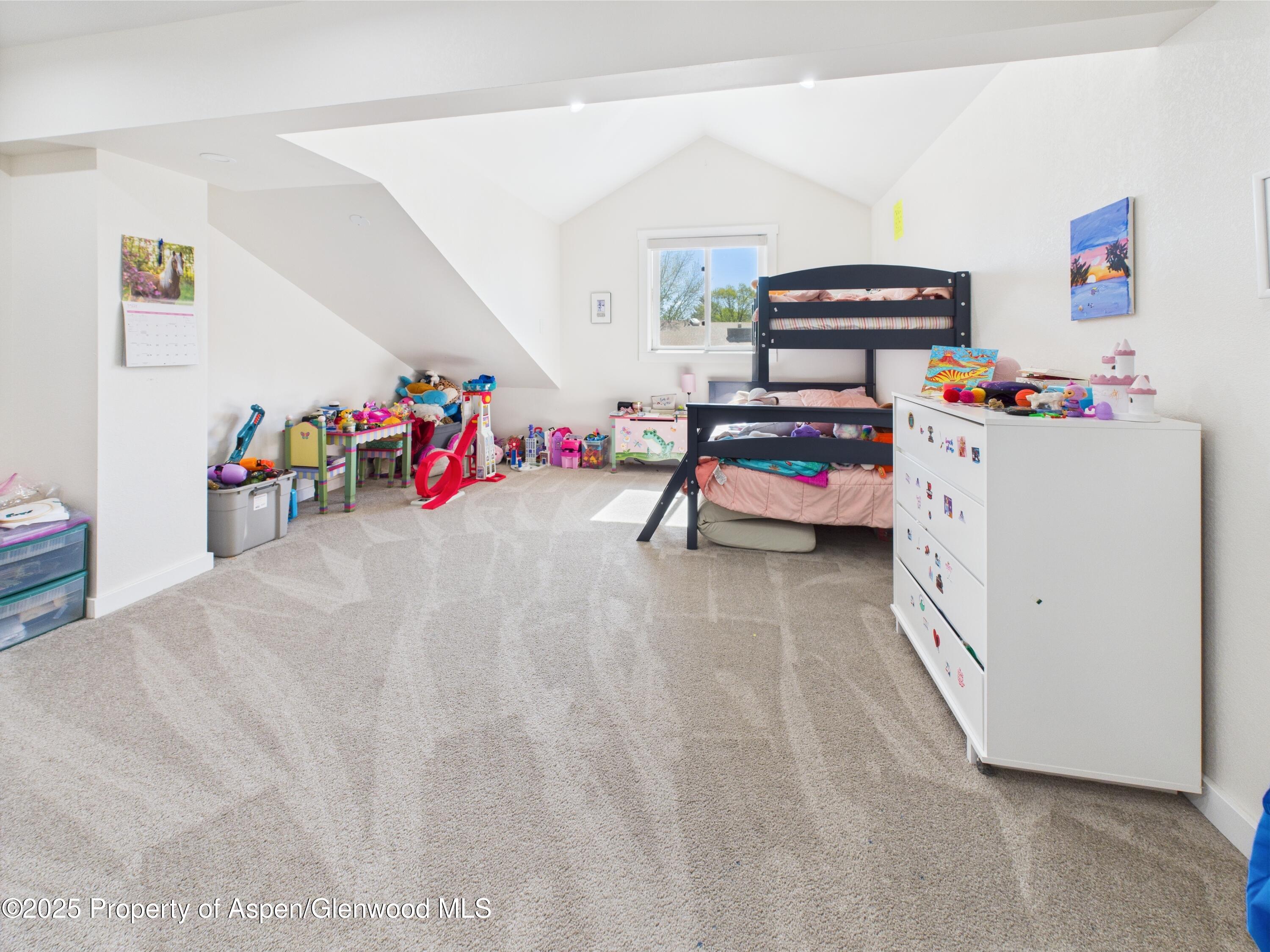 944 Wheel Circle Carbondale CO 81623