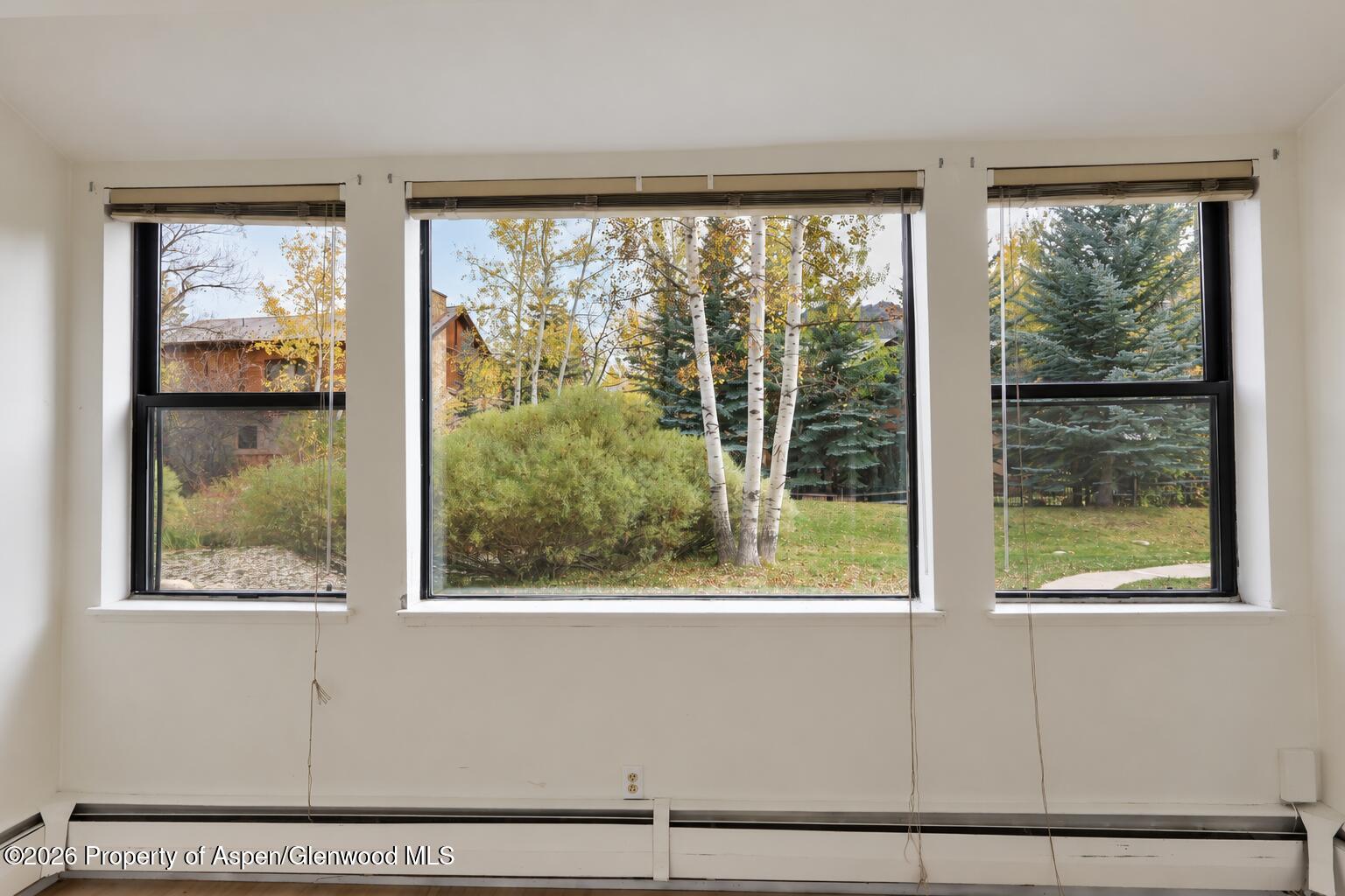 1012 Vine Street Aspen CO 81611
