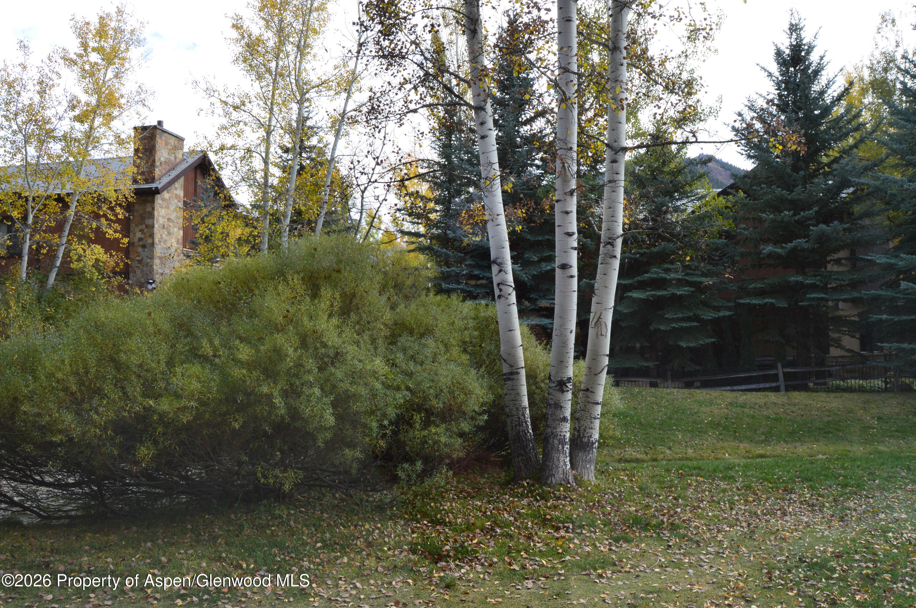 1012 Vine Street Aspen CO 81611