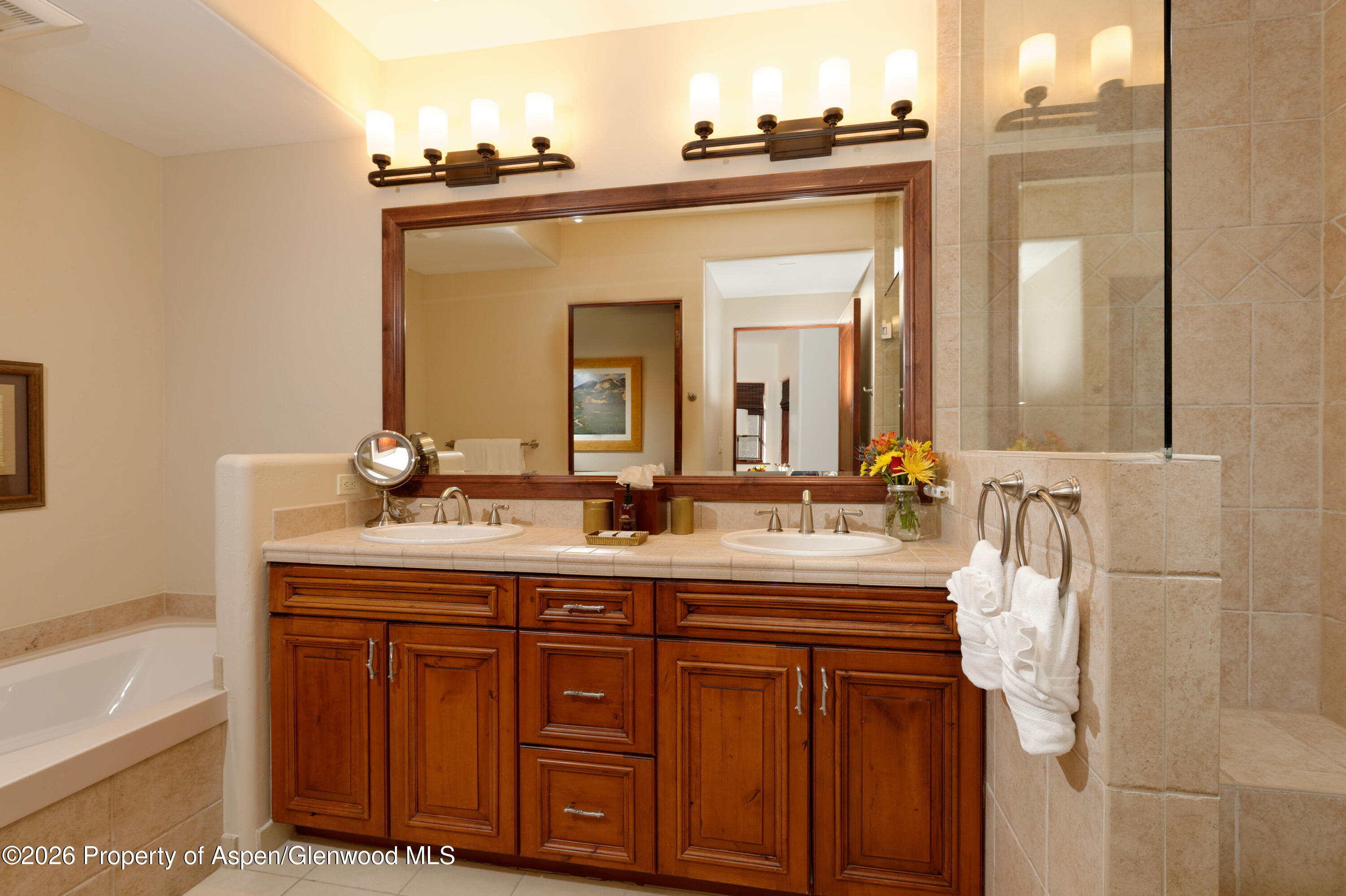126 Timbers Club Court Snowmass Village CO 81615