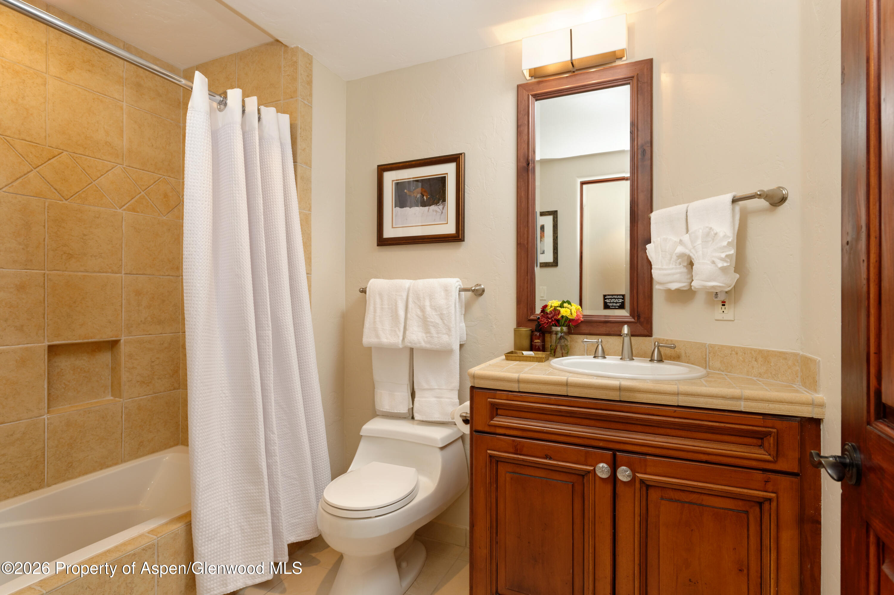 126 Timbers Club Court Snowmass Village CO 81615
