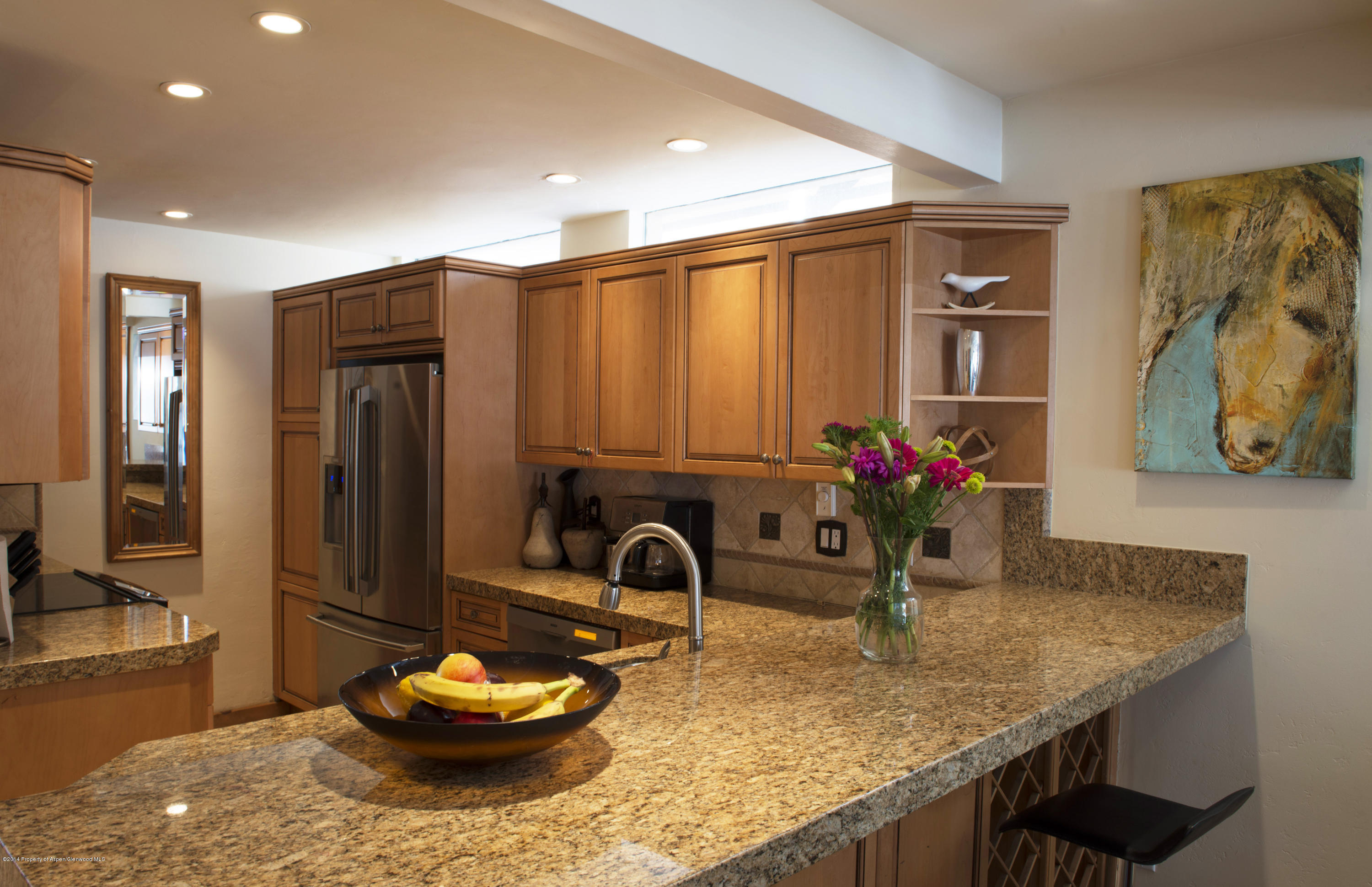 801 E Hopkins Avenue Aspen CO 81611