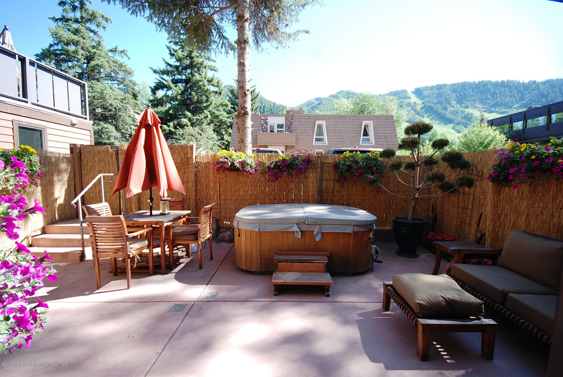 801 E Hopkins Avenue Aspen CO 81611