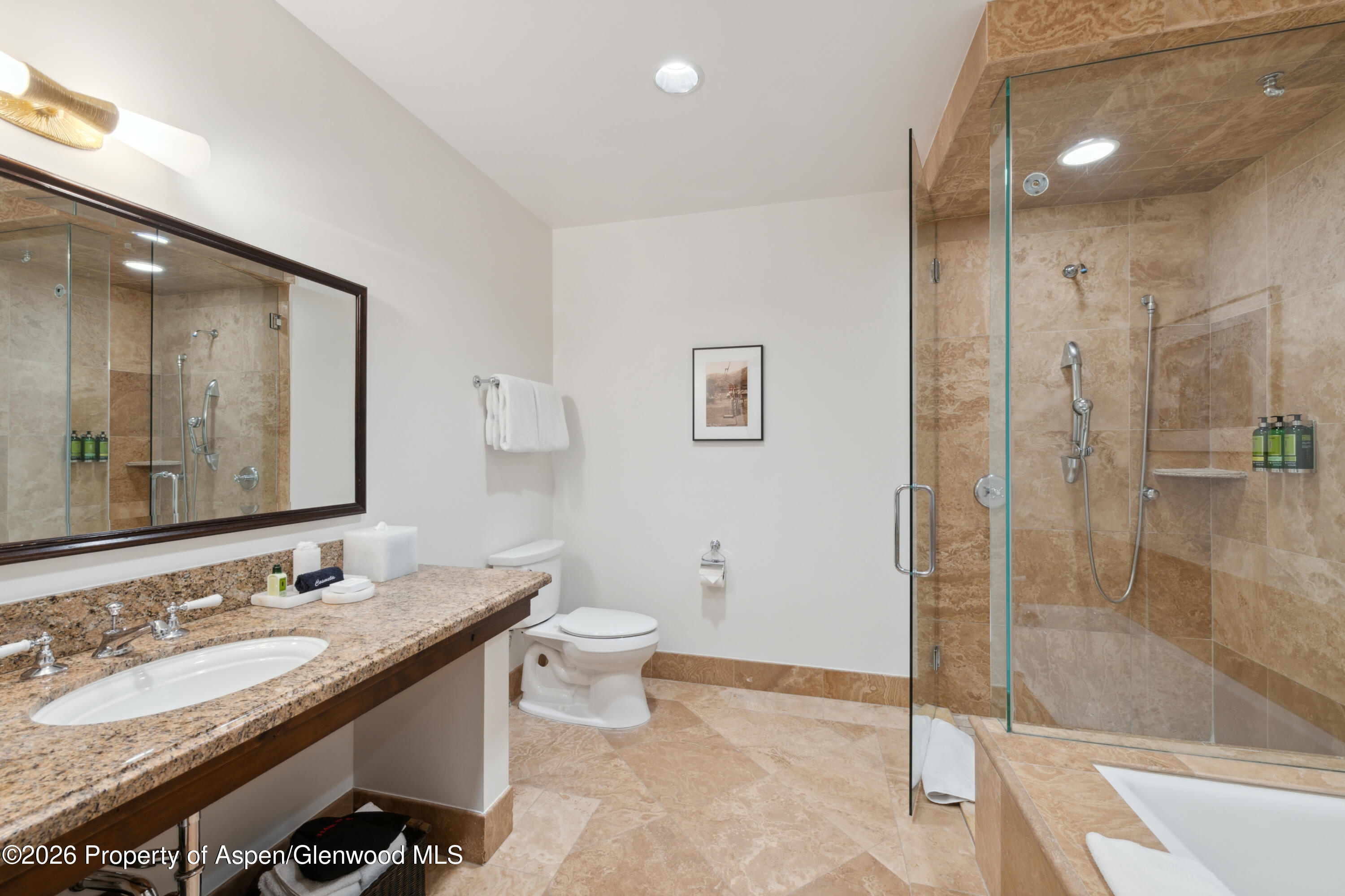 415 E Dean St, Unit 6, Week 11 Aspen CO 81611