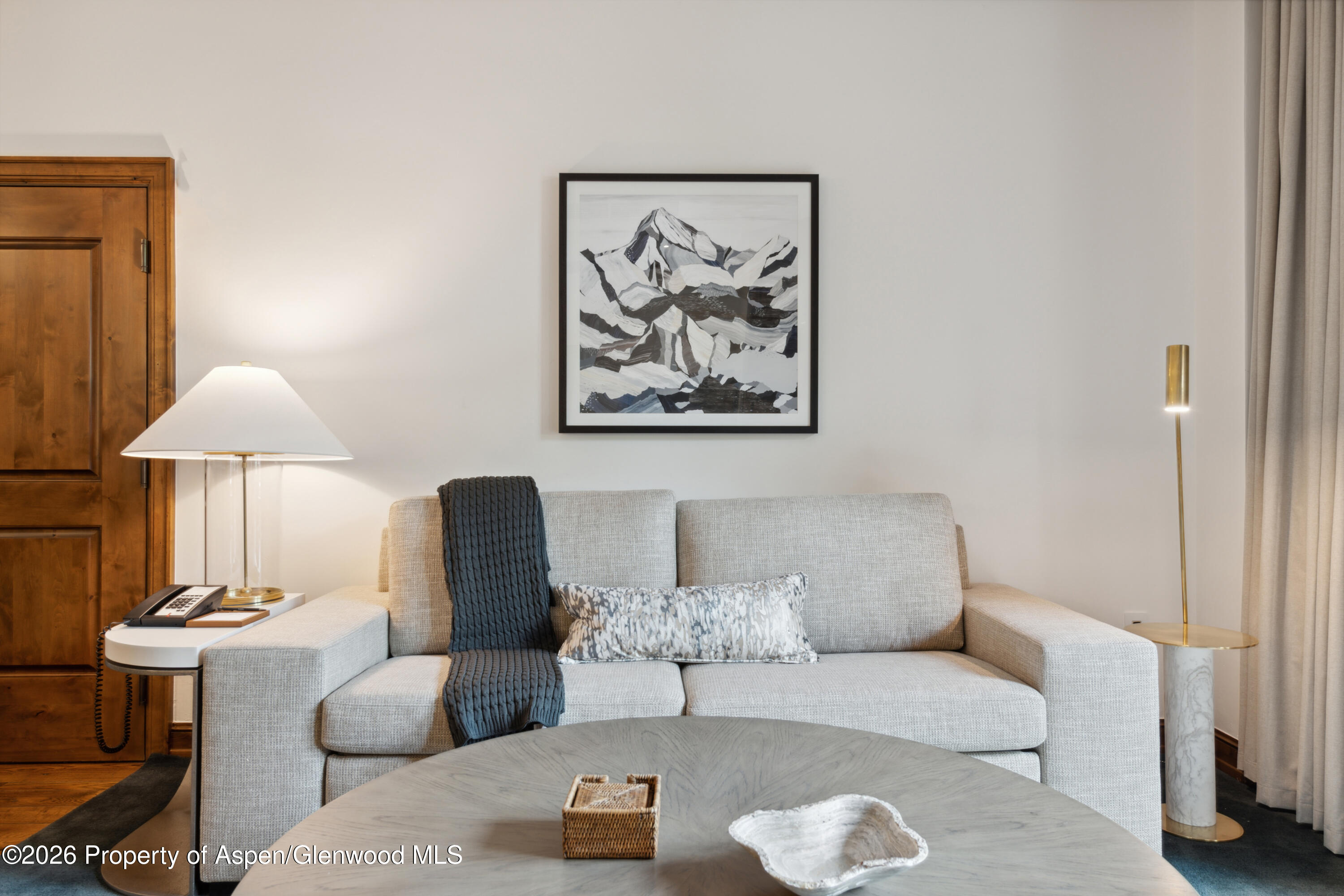 415 E Dean St, Unit 6, Week 11 Aspen CO 81611