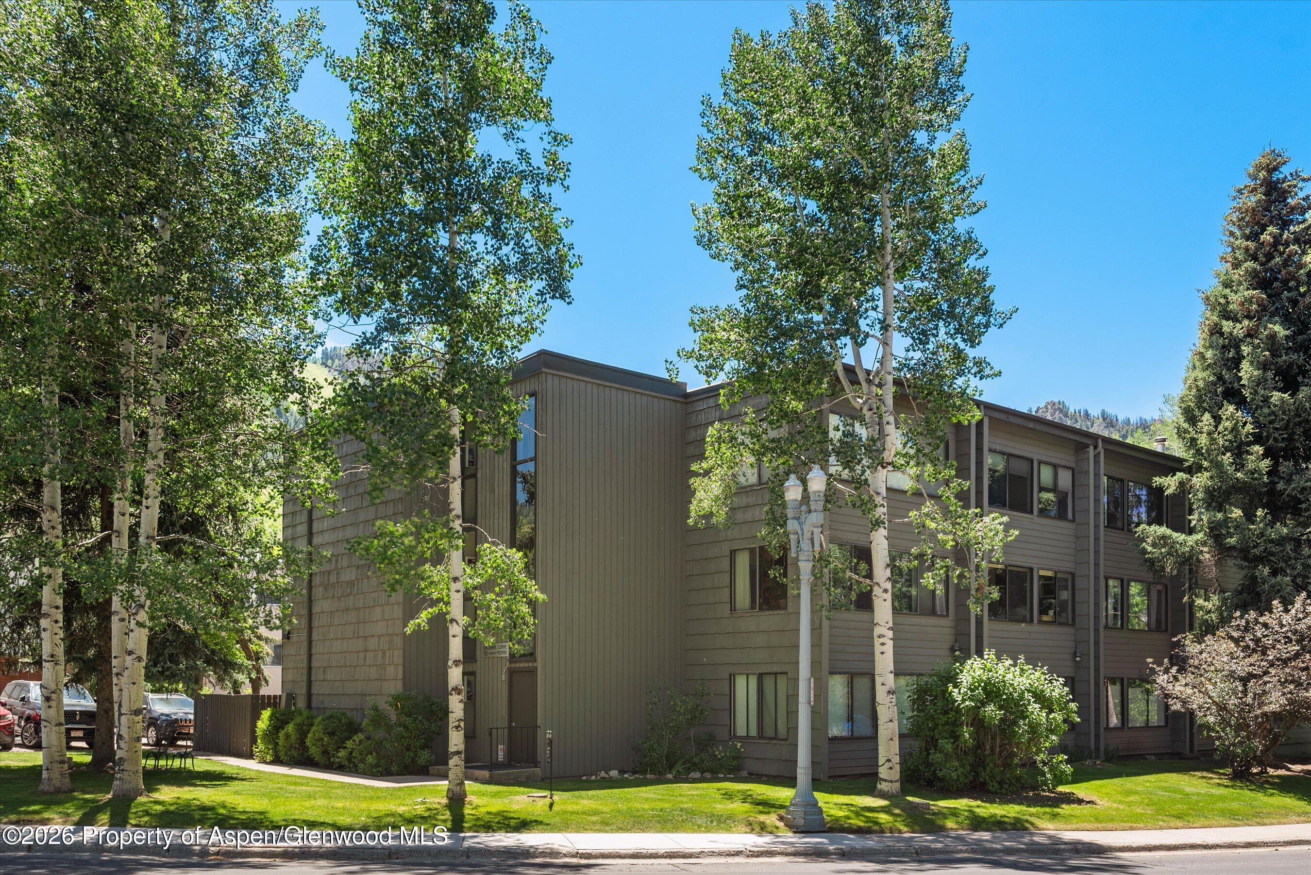 725 E Main Street Aspen CO 81611