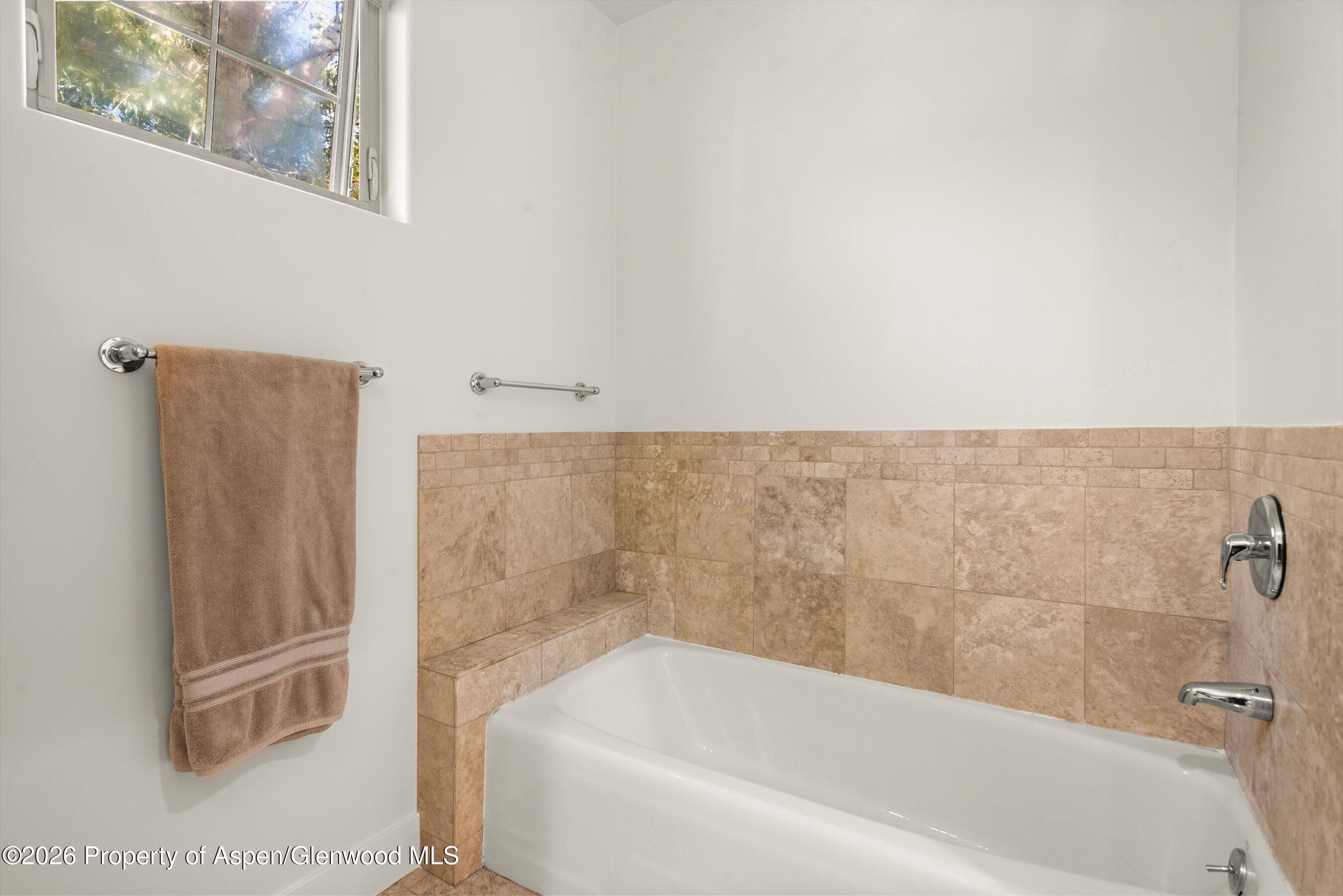 520 Evans Court Basalt CO 81621