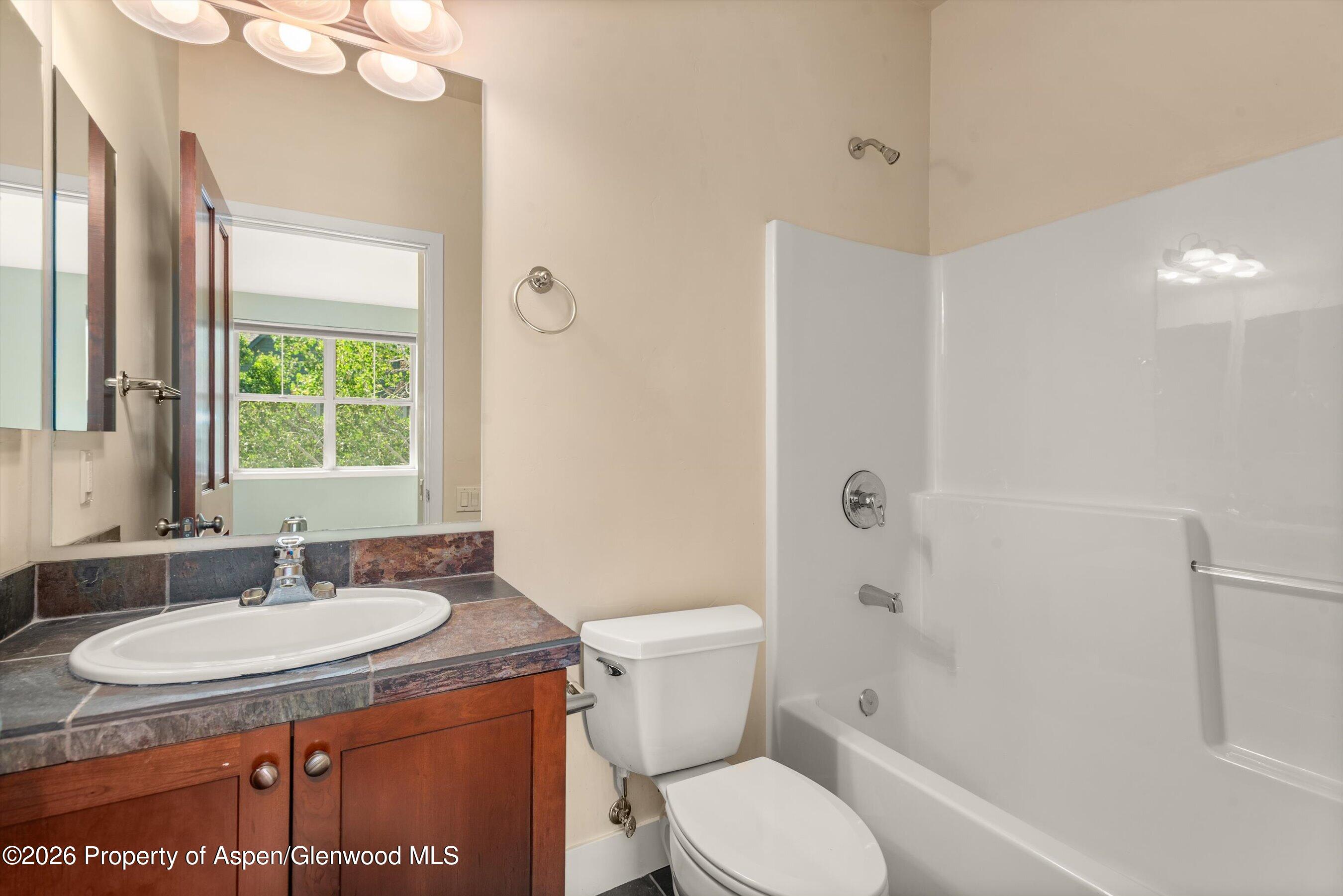 520 Evans Court Basalt CO 81621