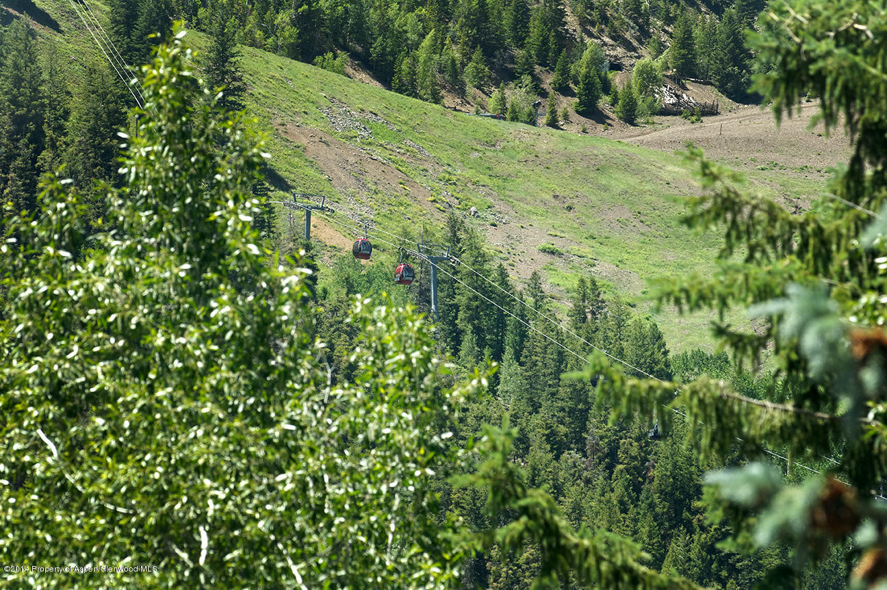 915 E Hopkins Avenue Aspen CO 81611