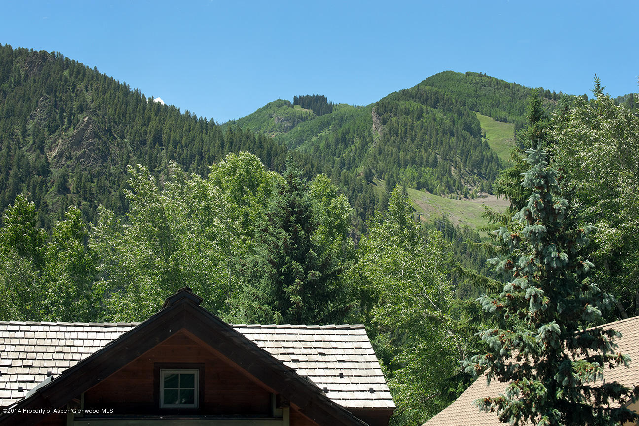 915 E Hopkins Avenue Aspen CO 81611