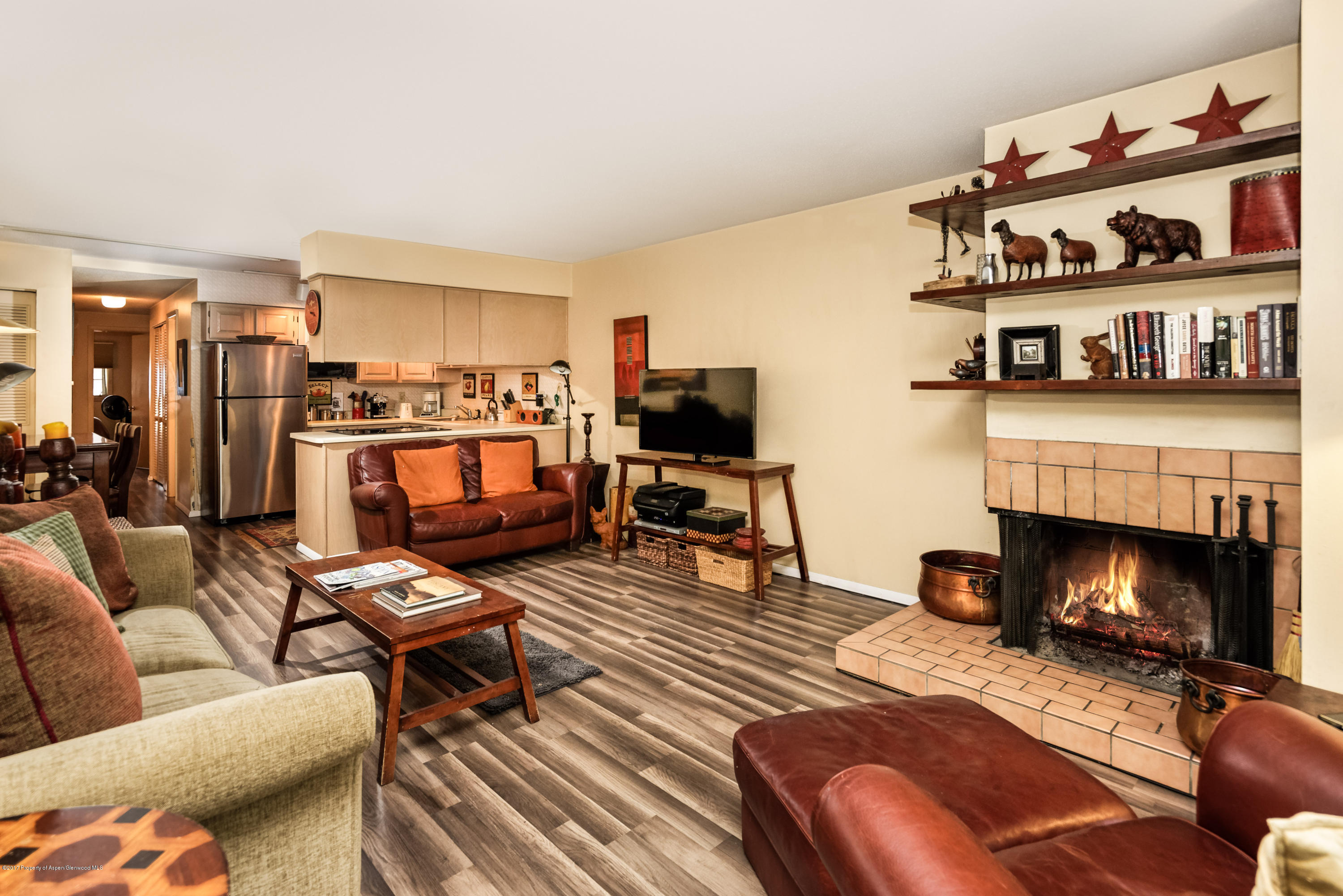 210 E Cooper Avenue Aspen CO 81611