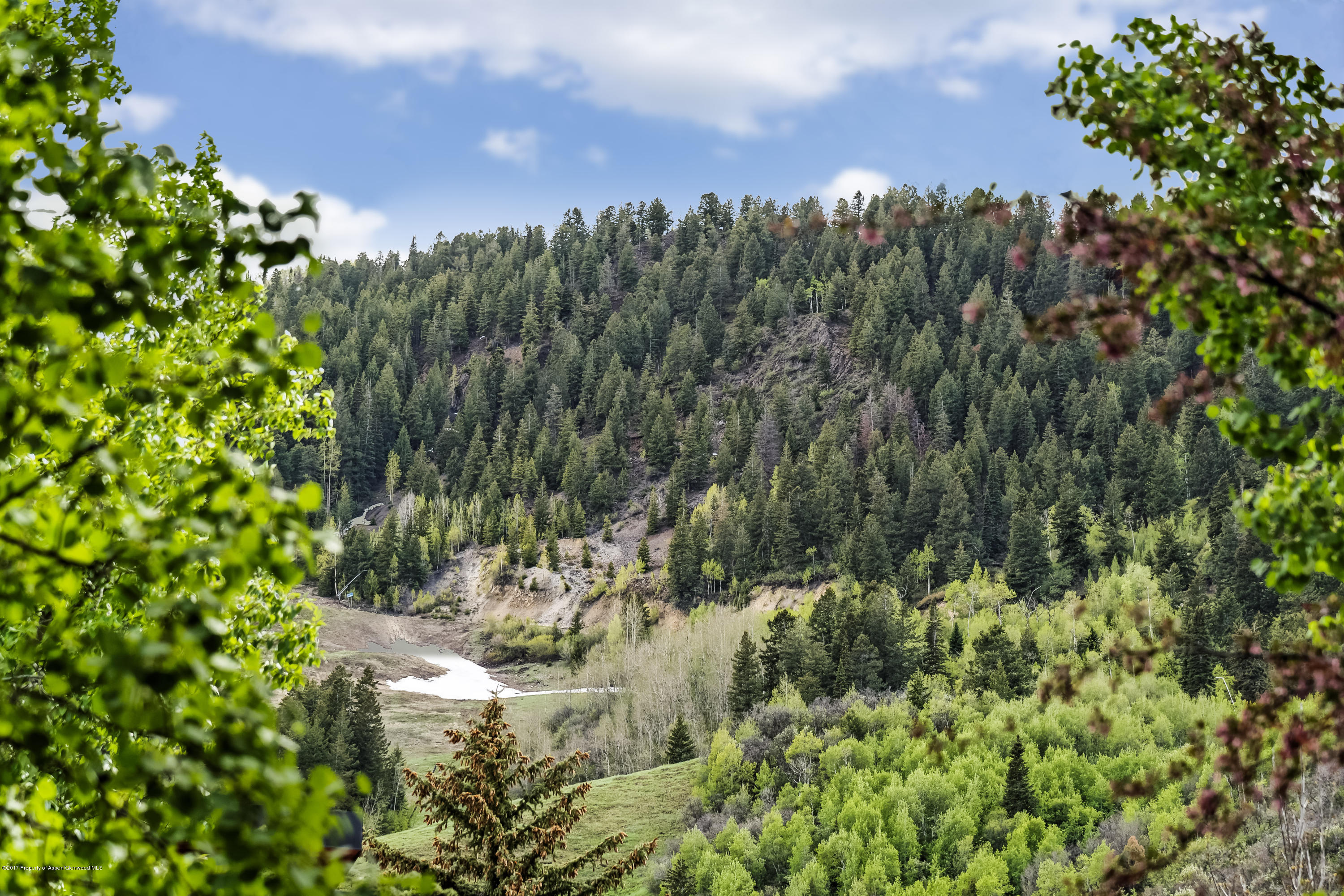 210 E Cooper Avenue Aspen CO 81611