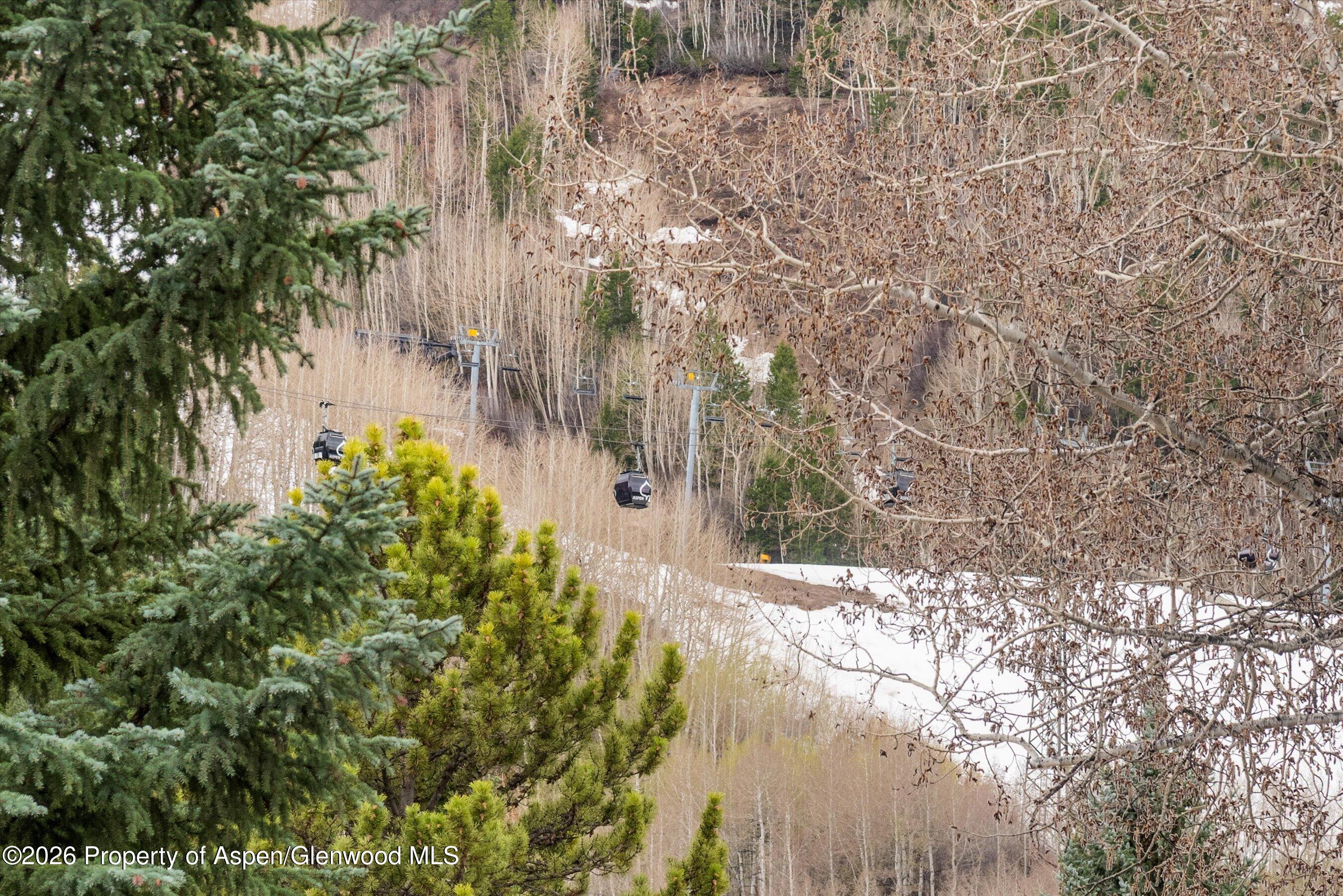 830 E Durant Avenue Aspen CO 81611