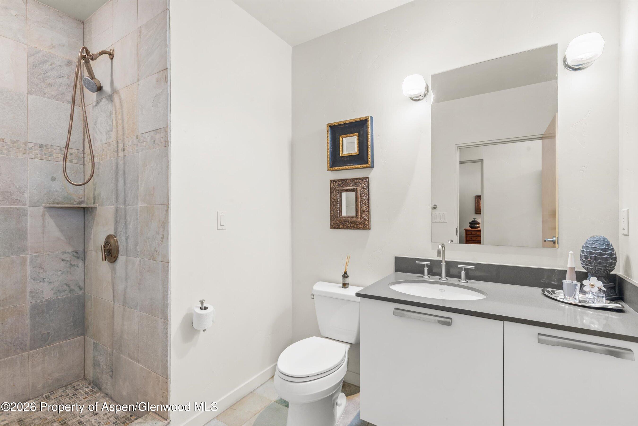 231 Robinson Street Basalt CO 81621
