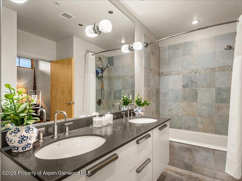 231 Robinson Street Basalt CO 81621