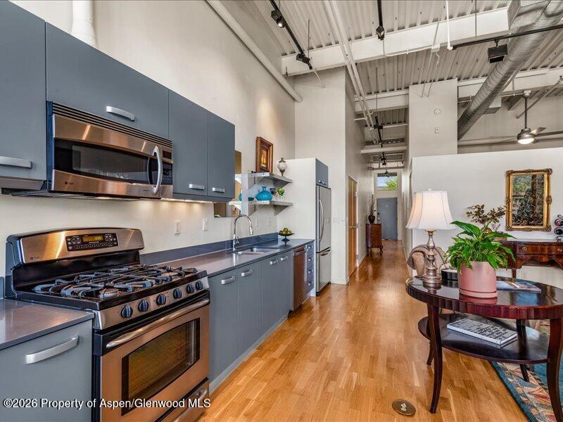 231 Robinson Street Basalt CO 81621