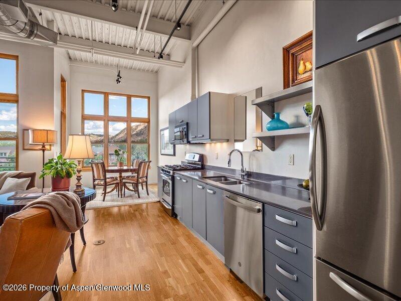 231 Robinson Street Basalt CO 81621