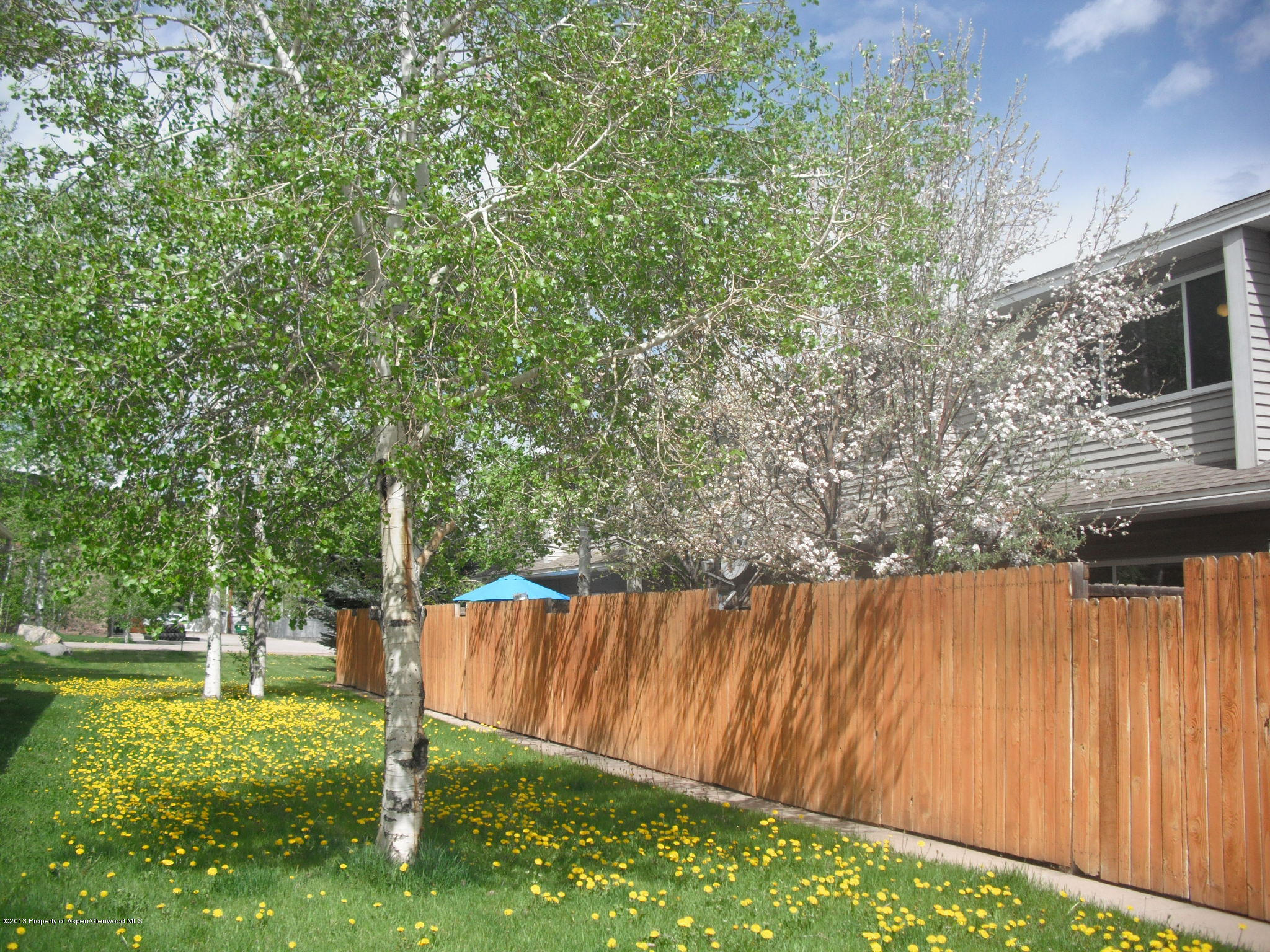 405 Park Avenue Basalt CO 81621