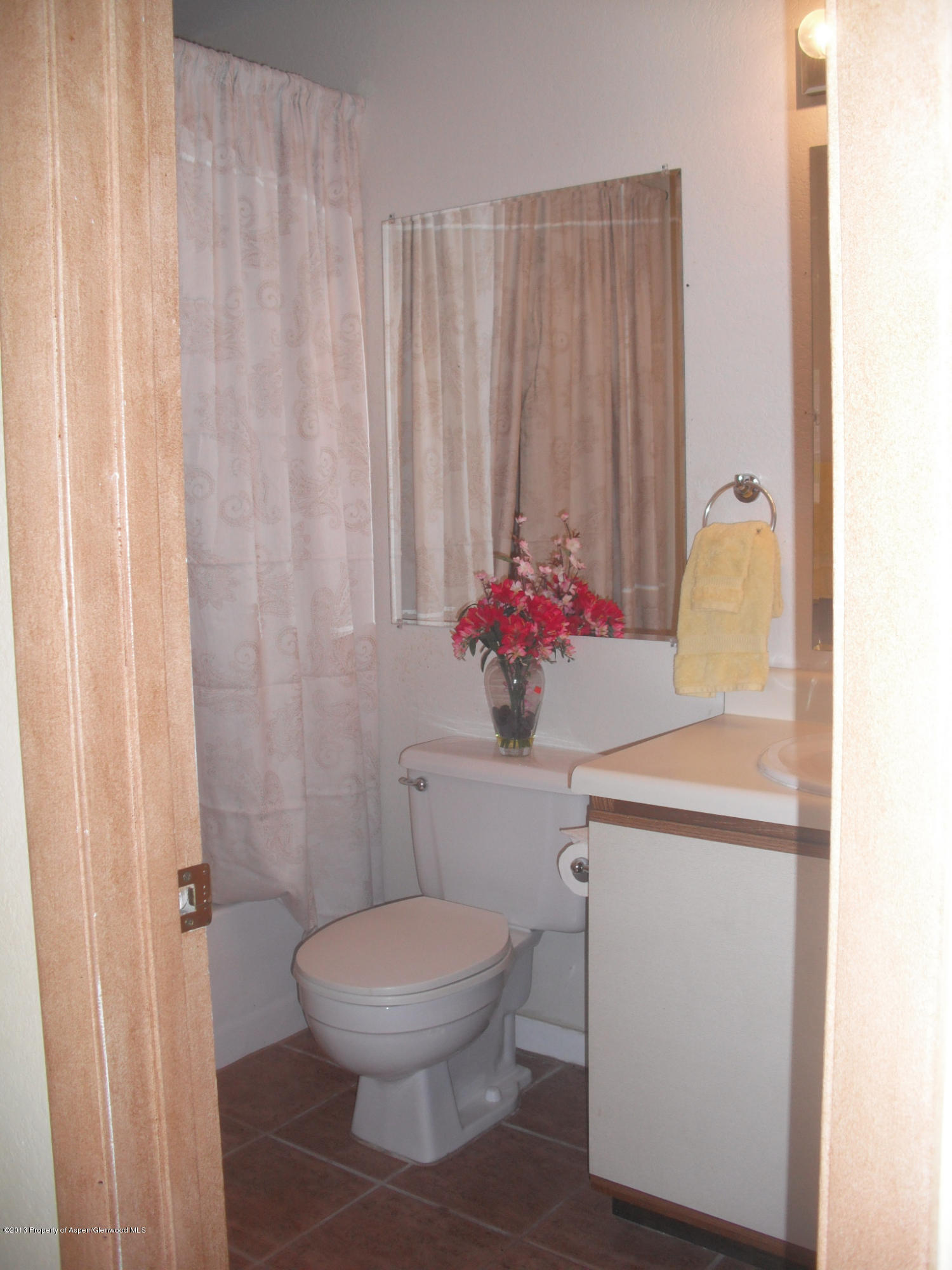 405 Park Avenue Basalt CO 81621