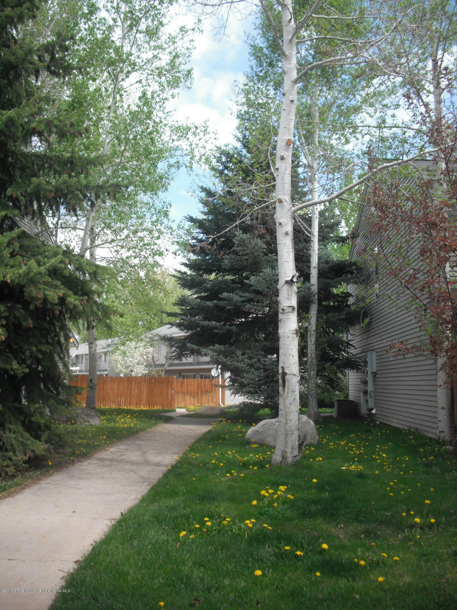 405 Park Avenue Basalt CO 81621