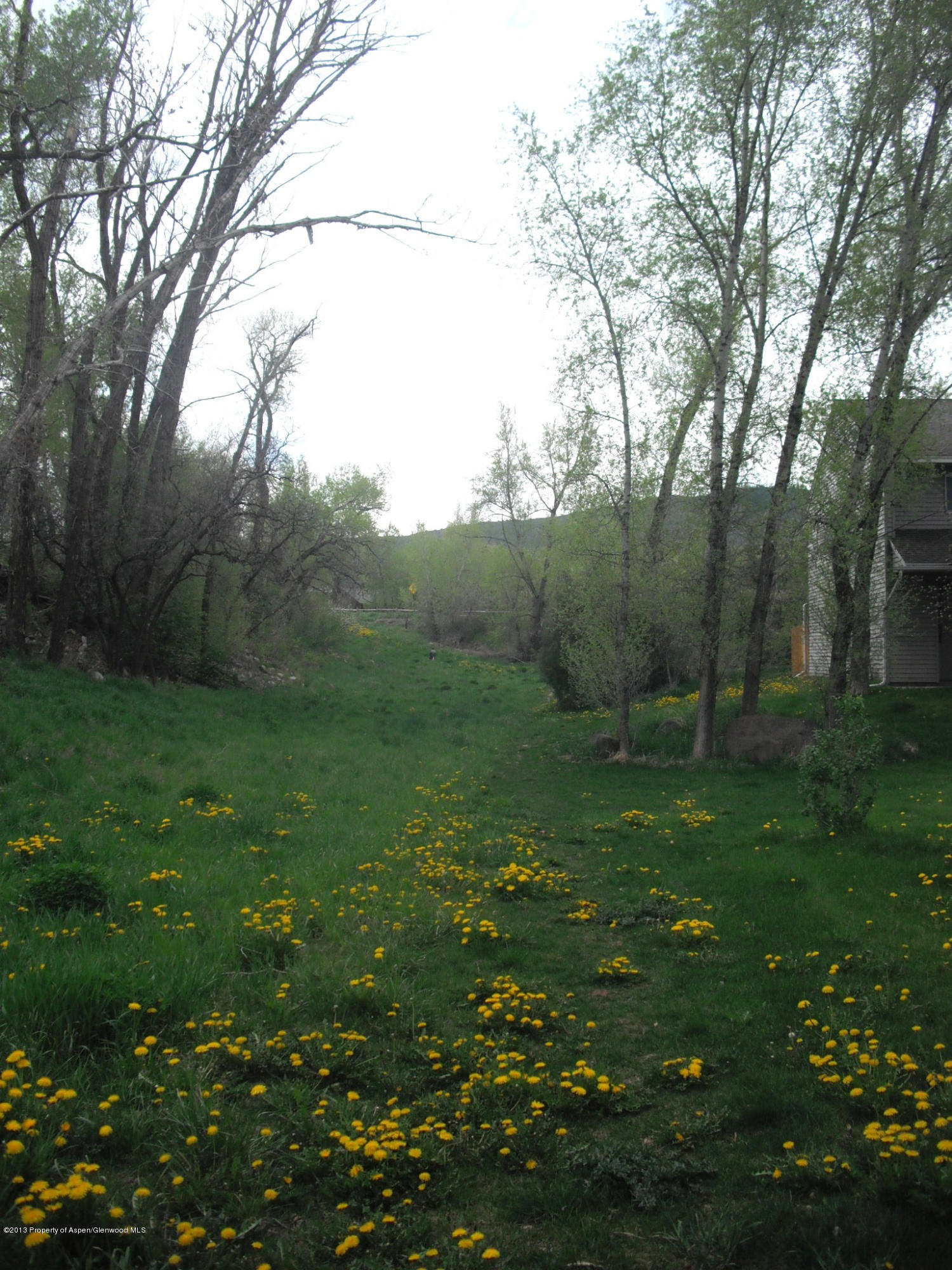 405 Park Avenue Basalt CO 81621