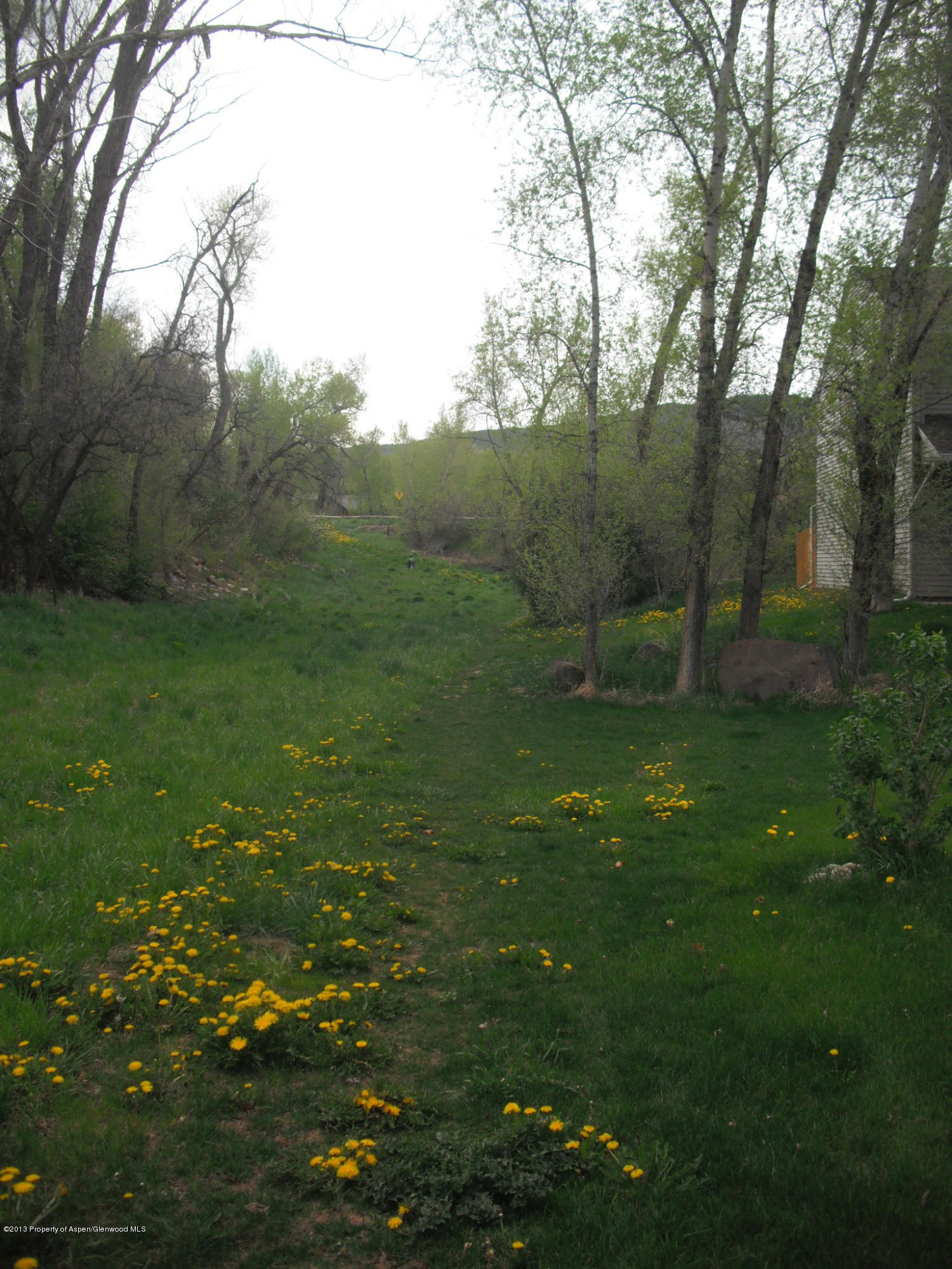 405 Park Avenue Basalt CO 81621